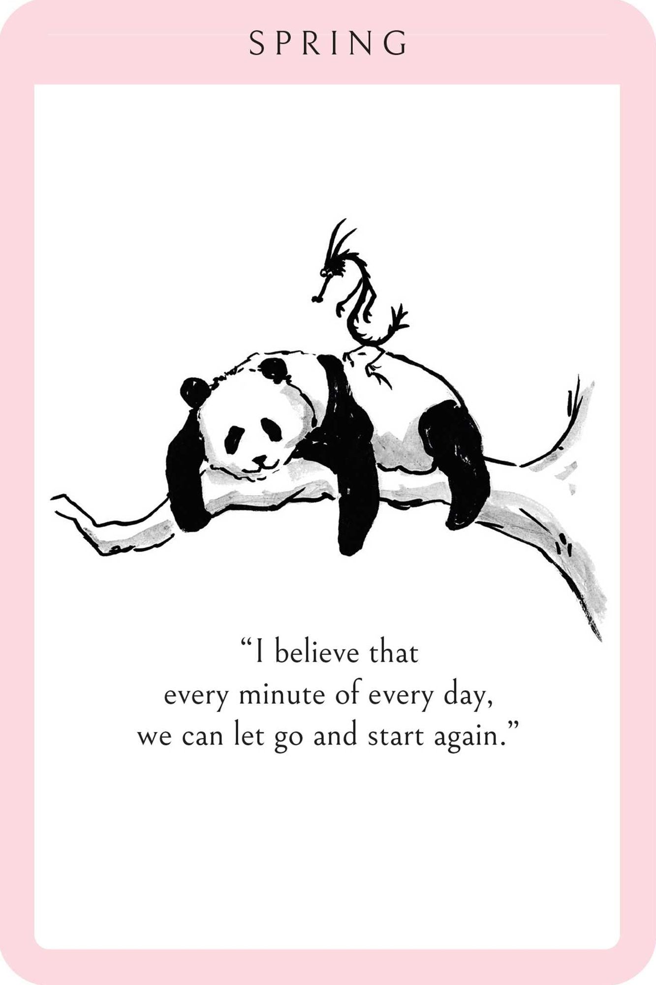 Big Panda and Tiny Dragon Affirmation Cards: Daily Inspiration for Strength and Serenity