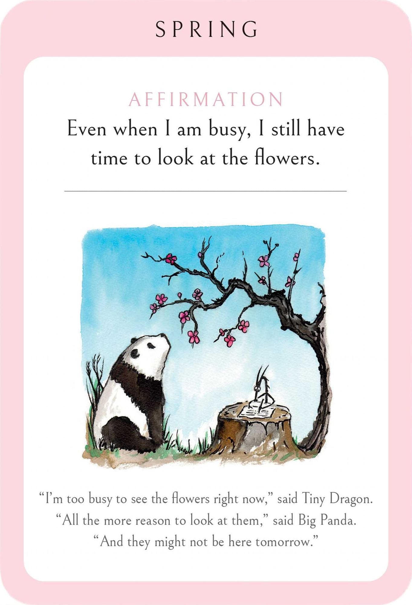 Big Panda and Tiny Dragon Affirmation Cards: Daily Inspiration for Strength and Serenity