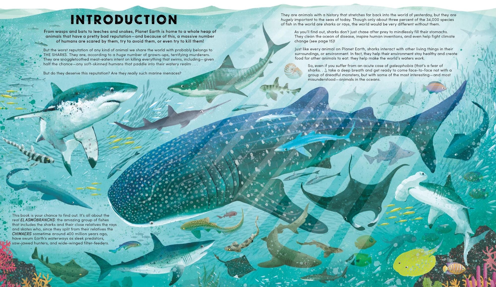 Everything You Know About Sharks Is Wrong!