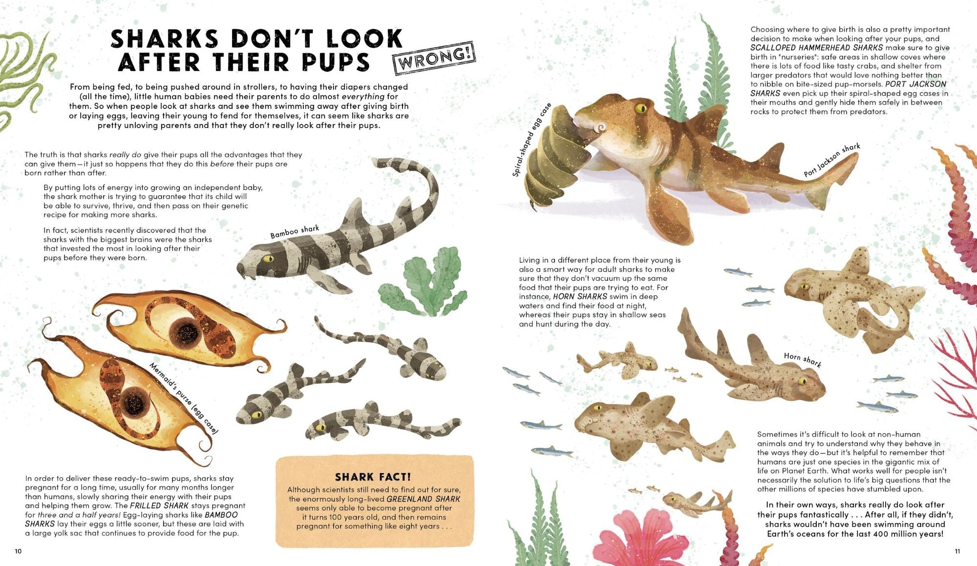 Everything You Know About Sharks Is Wrong!