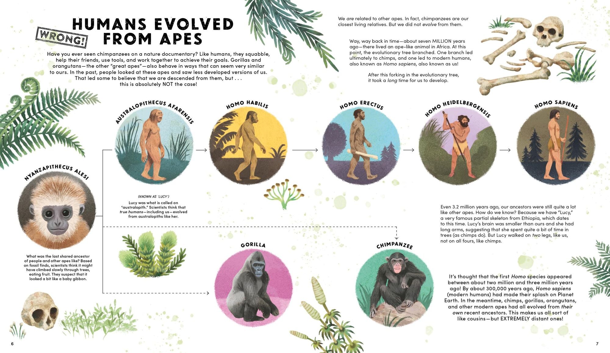 Everything You Know About the Human Body is Wrong!