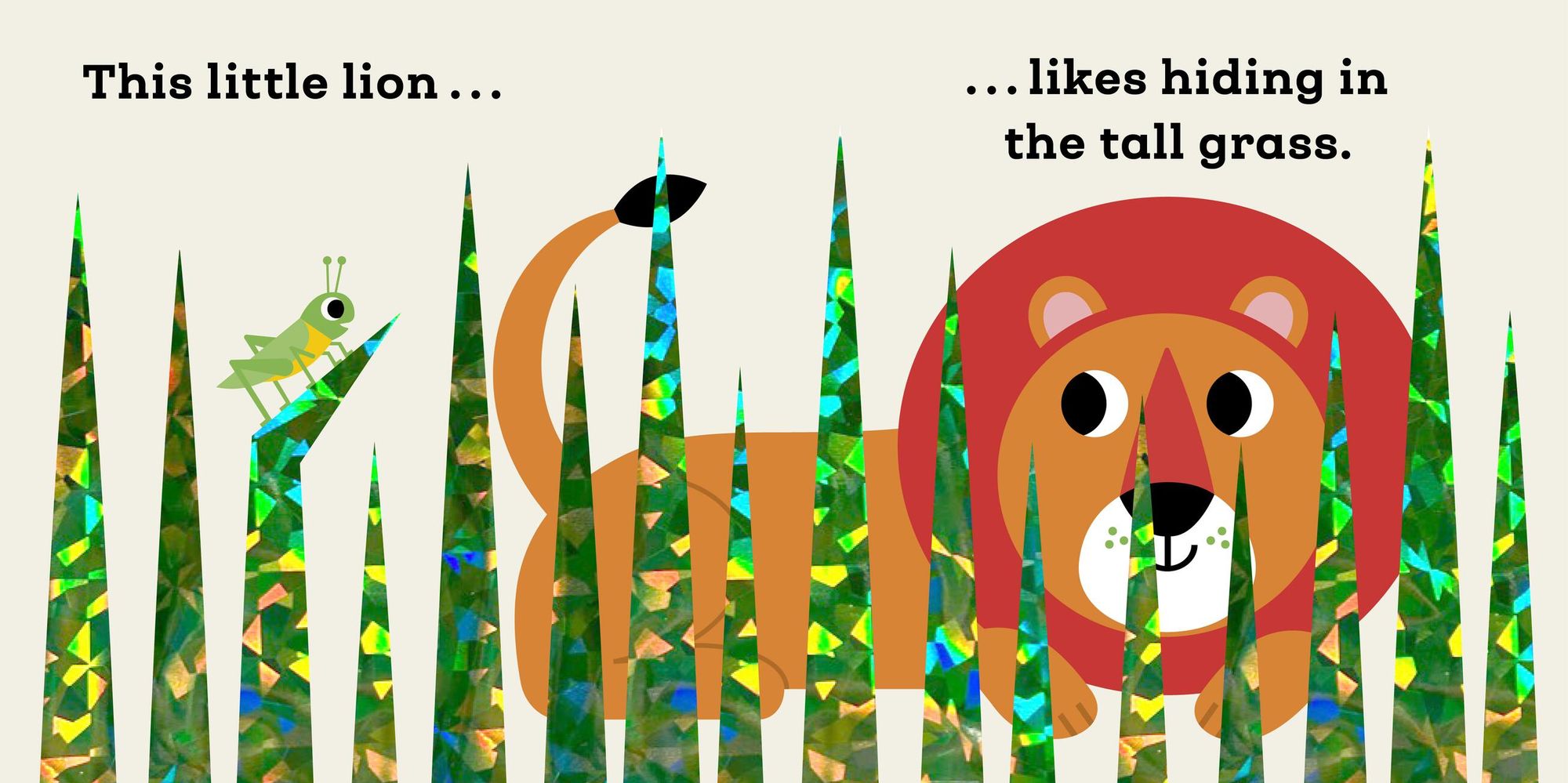 This Little Lion: A Touch and Feel Book