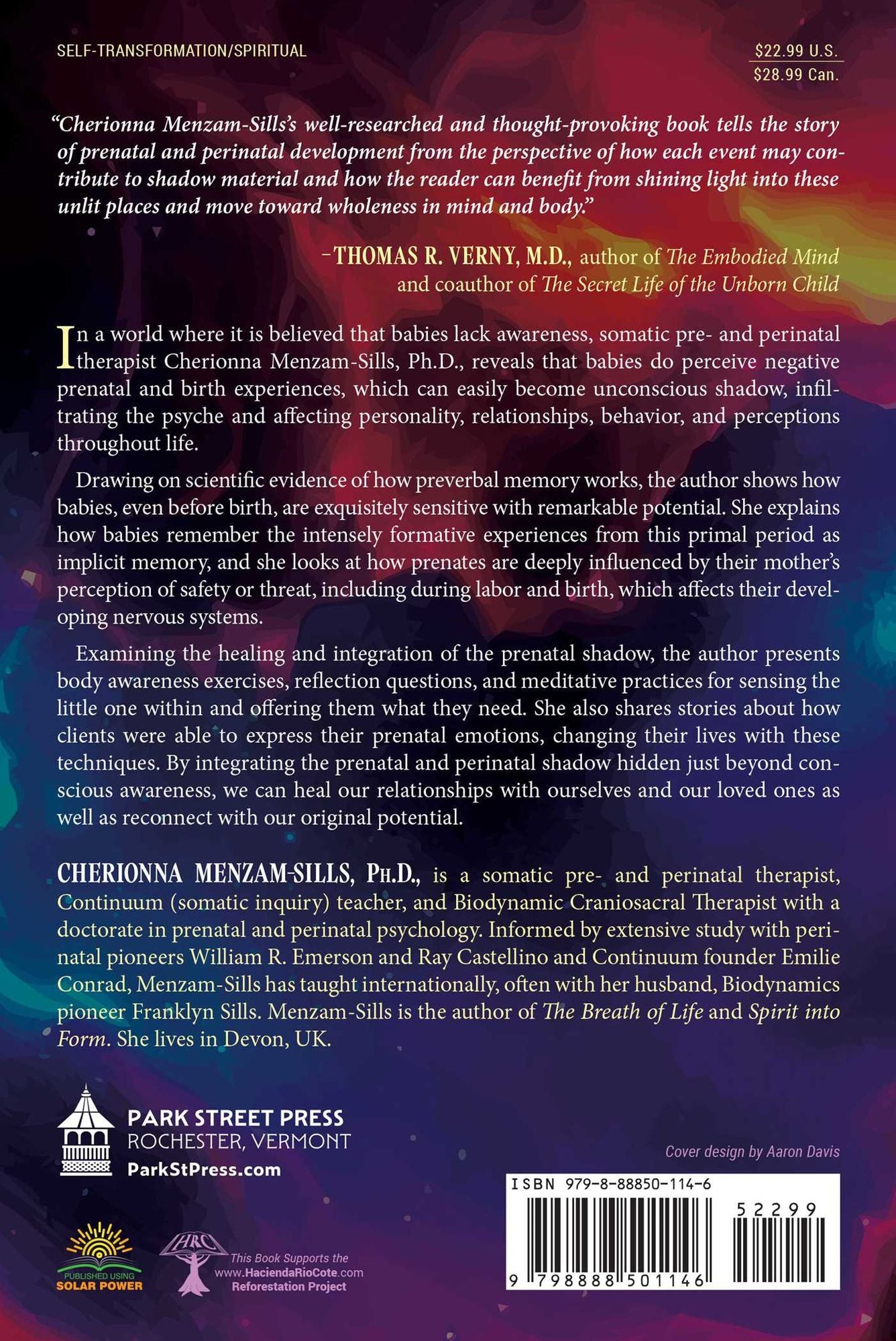 The Prenatal Shadow: Healing the Traumas Experienced before and at Birth