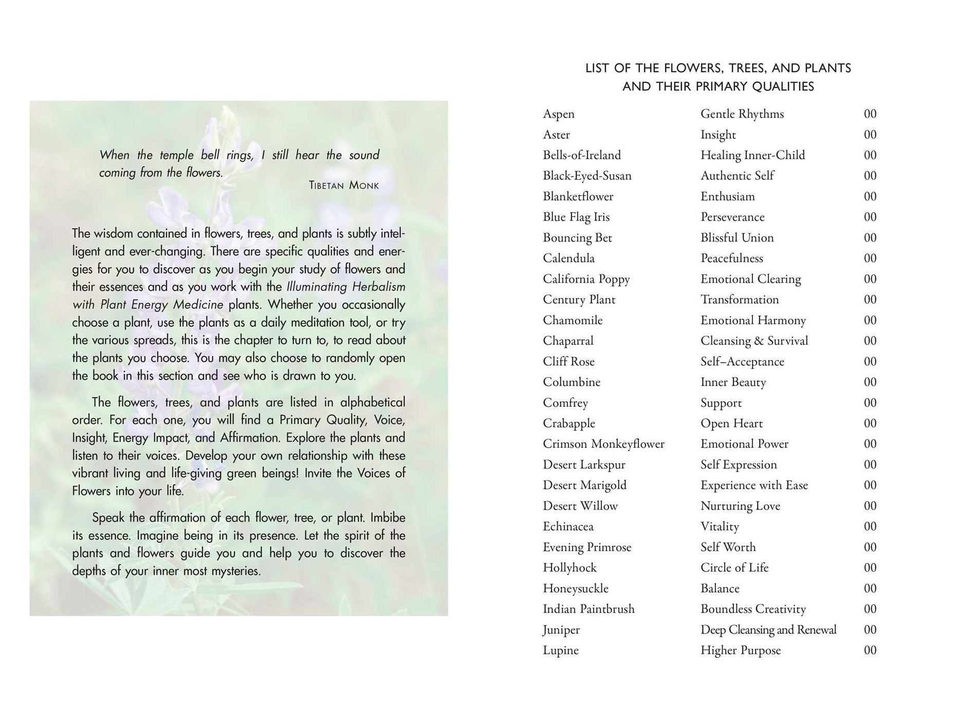 Plant Energy Medicine: The Guiding Voice and Healing Vibration of 58 Plants