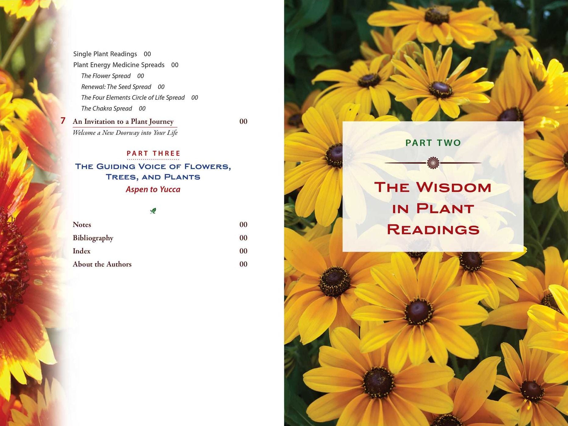 Plant Energy Medicine: The Guiding Voice and Healing Vibration of 58 Plants