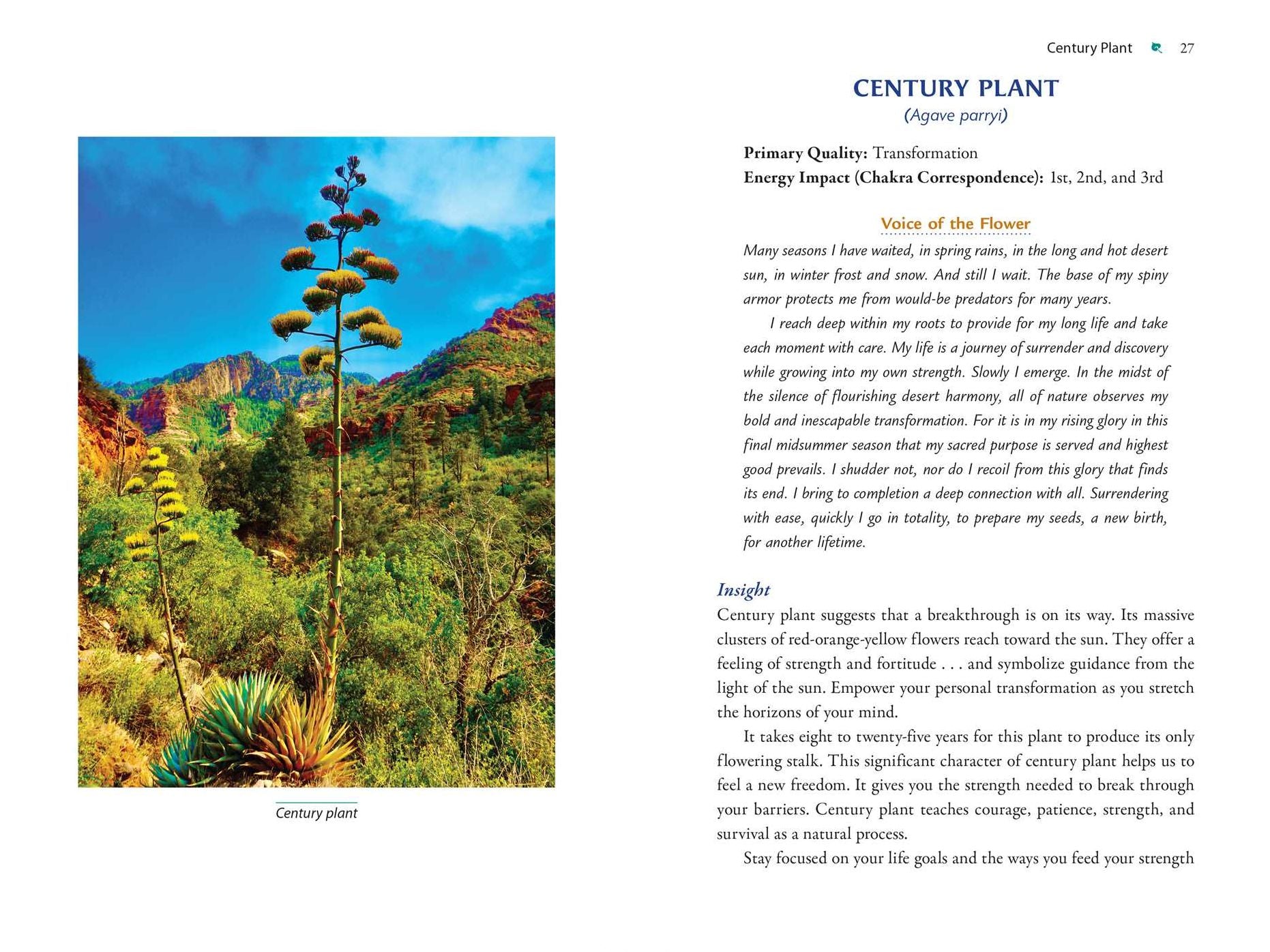 Plant Energy Medicine: The Guiding Voice and Healing Vibration of 58 Plants