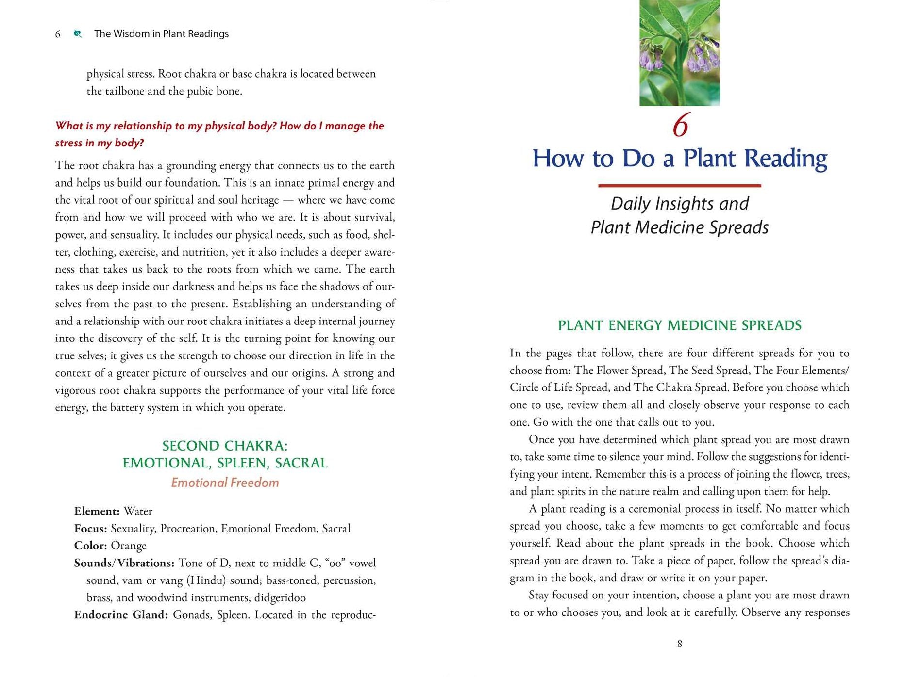 Plant Energy Medicine: The Guiding Voice and Healing Vibration of 58 Plants