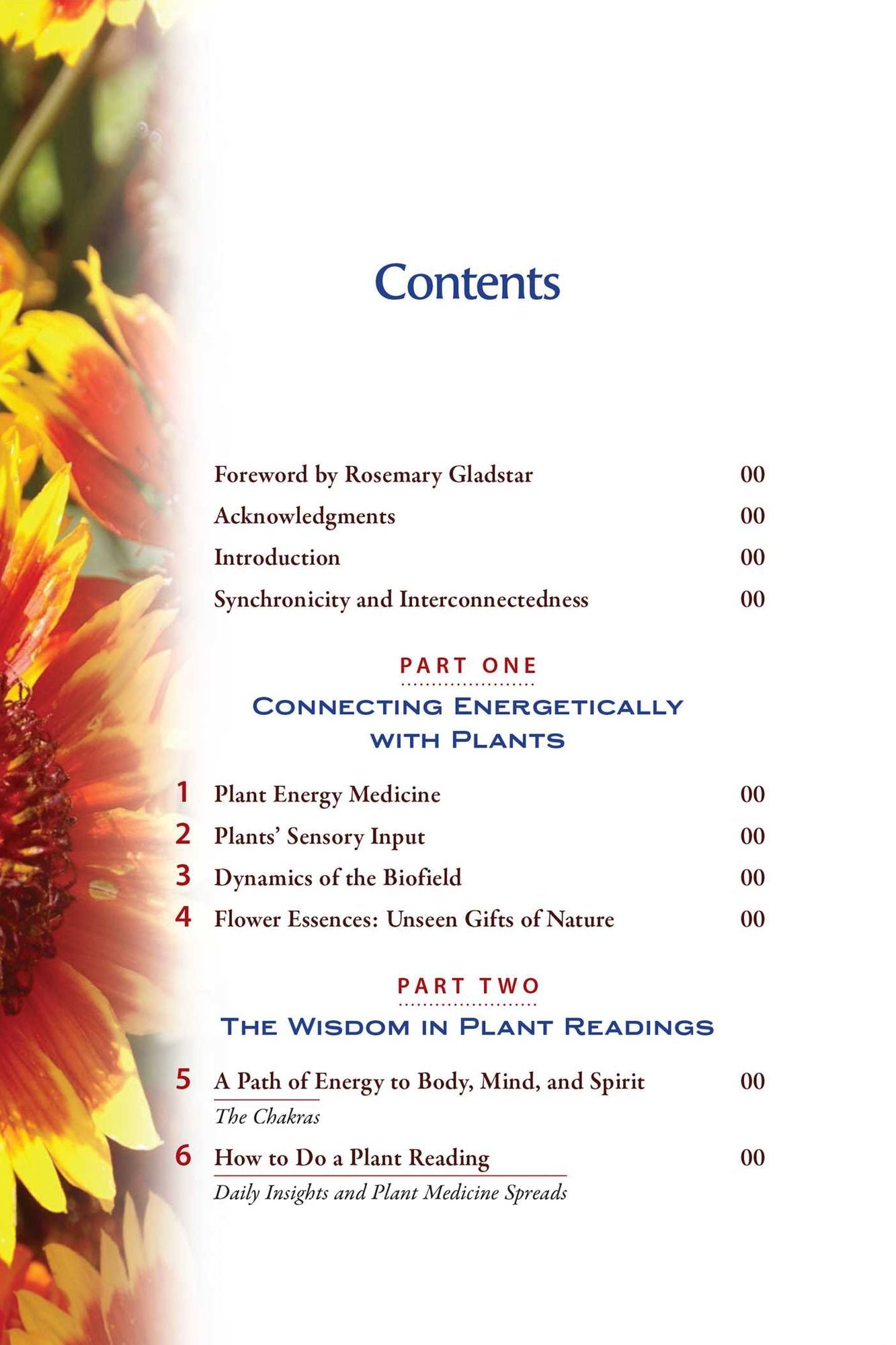 Plant Energy Medicine: The Guiding Voice and Healing Vibration of 58 Plants