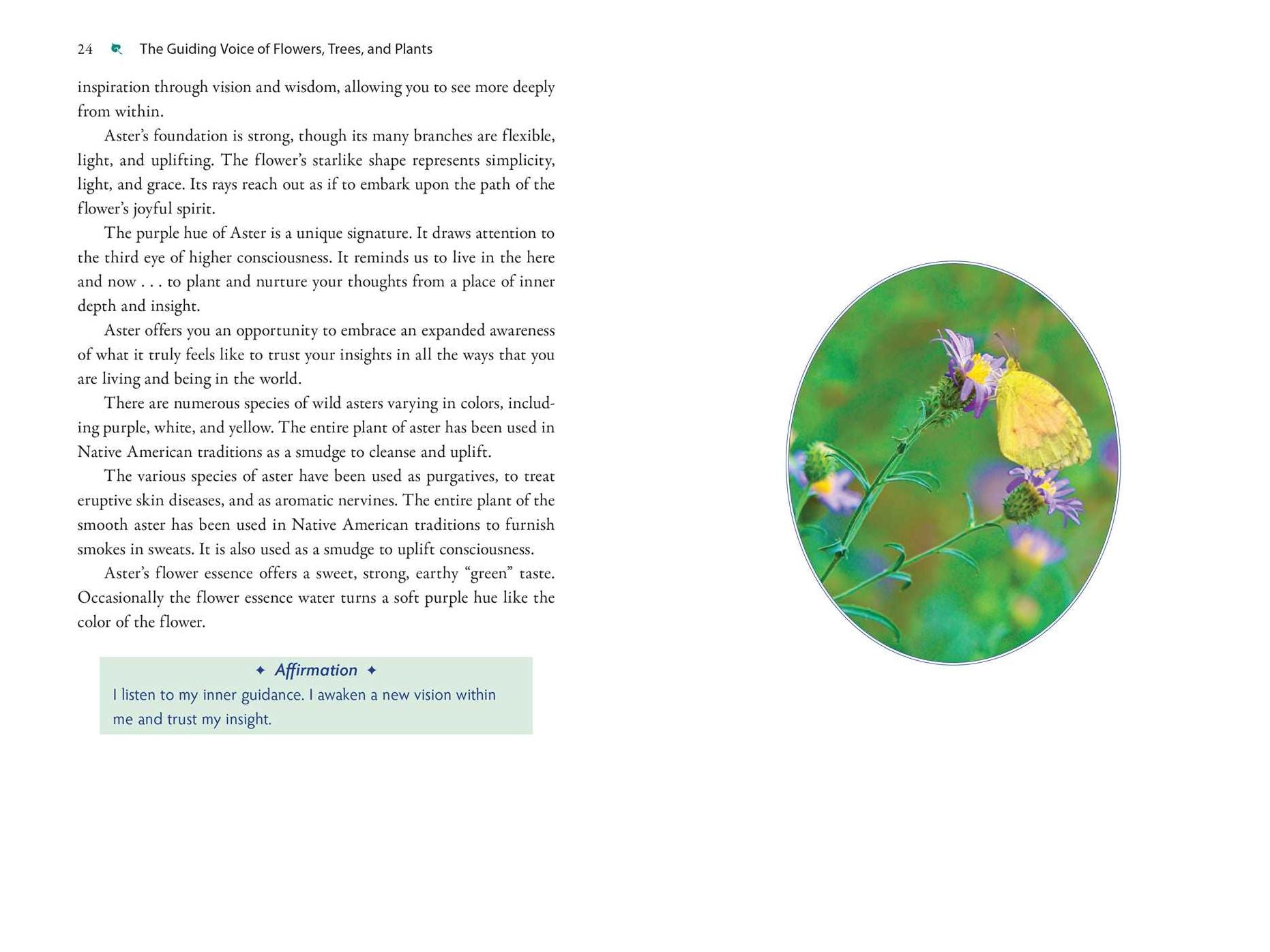 Plant Energy Medicine: The Guiding Voice and Healing Vibration of 58 Plants