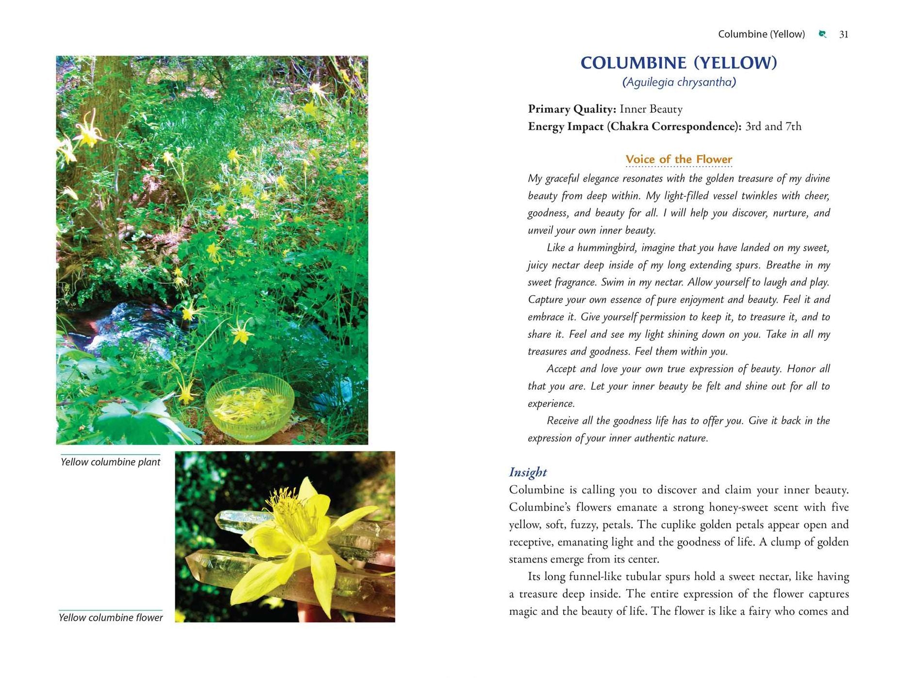 Plant Energy Medicine: The Guiding Voice and Healing Vibration of 58 Plants