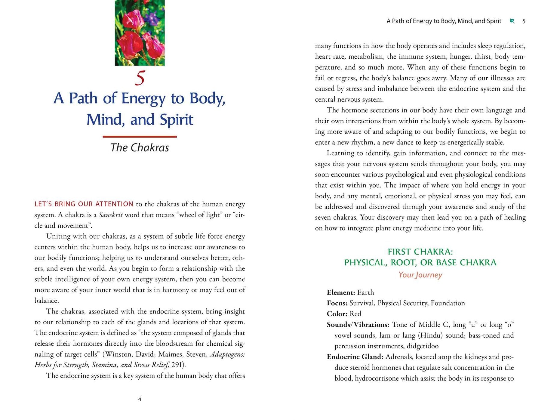 Plant Energy Medicine: The Guiding Voice and Healing Vibration of 58 Plants