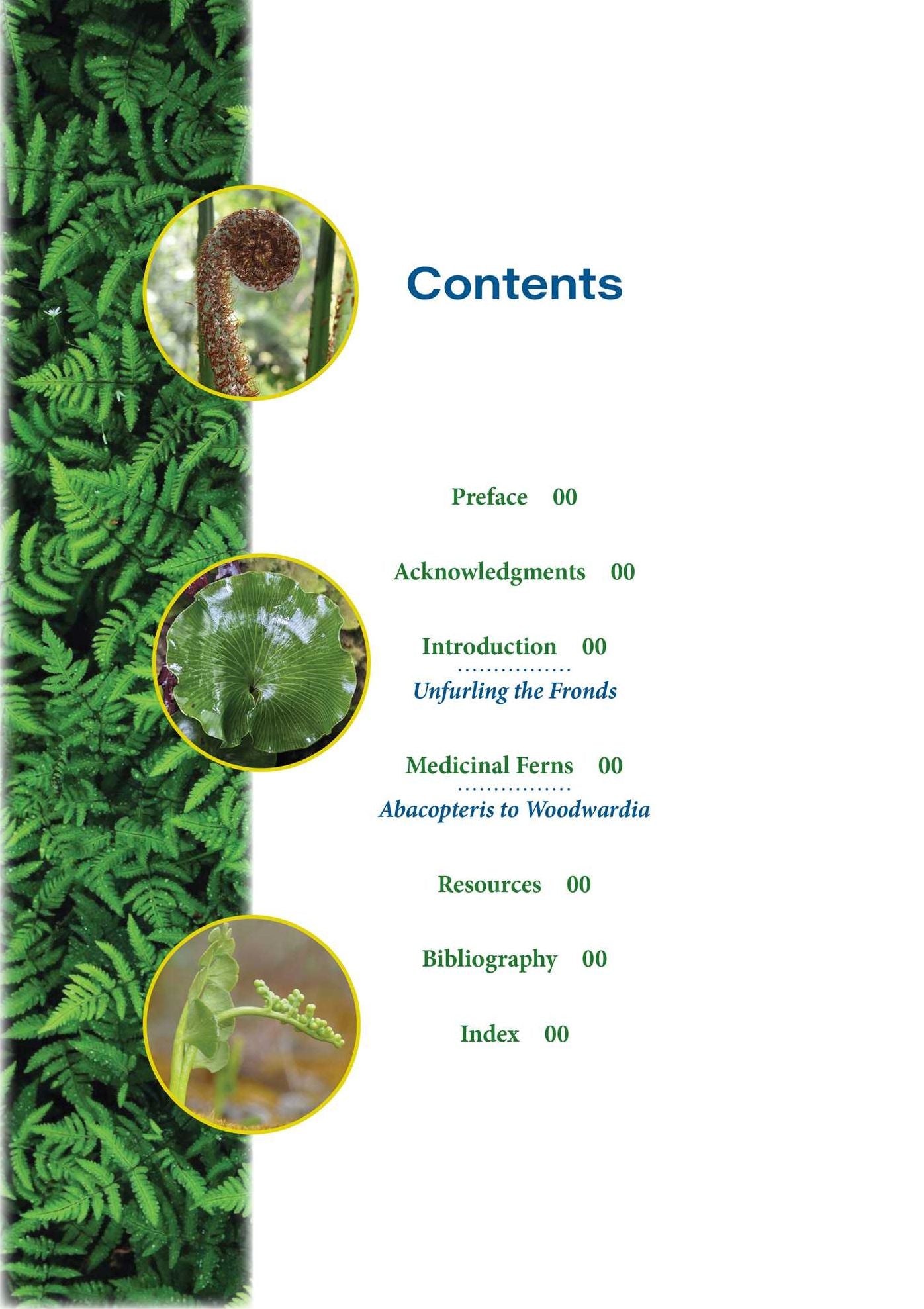 The Fern Pharmacy: Indigenous Wisdom and Modern Pharmacology