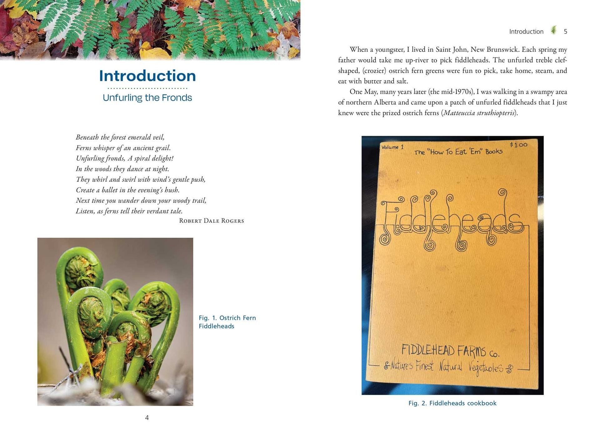 The Fern Pharmacy: Indigenous Wisdom and Modern Pharmacology