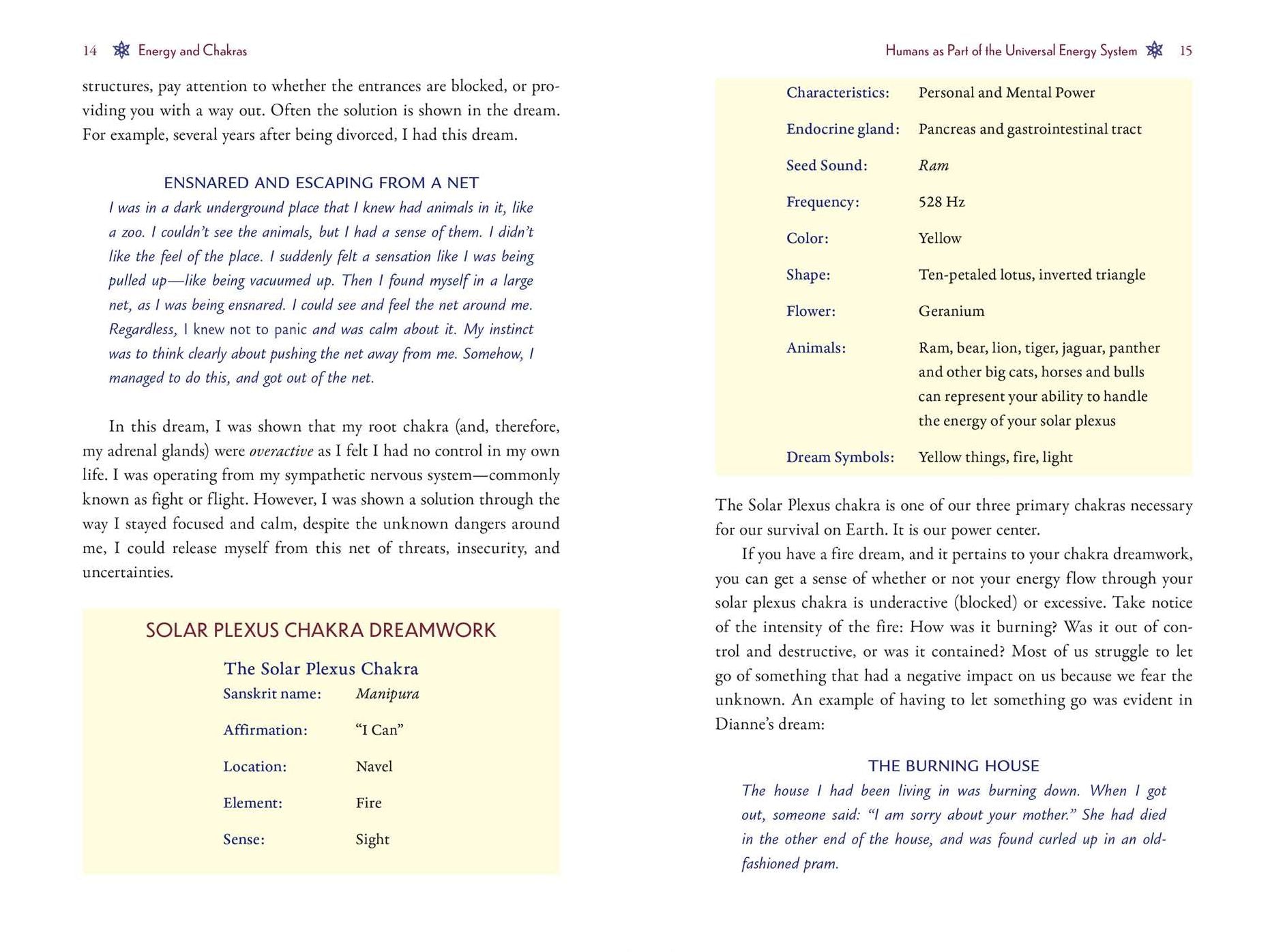 Chakra Dreamwork: Decode and Heal Your Energy Field through Conscious Dreaming