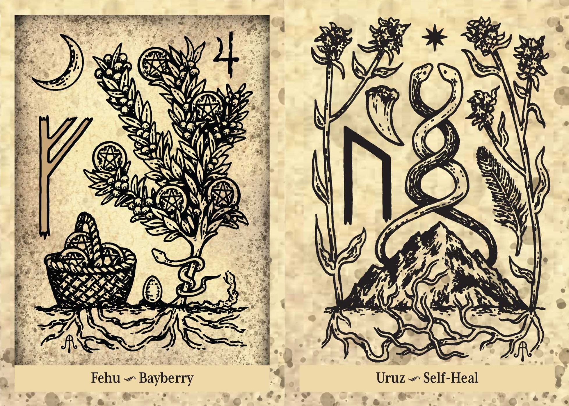 The Runes and Roots Oracle: A 36-Card Deck and Guidebook