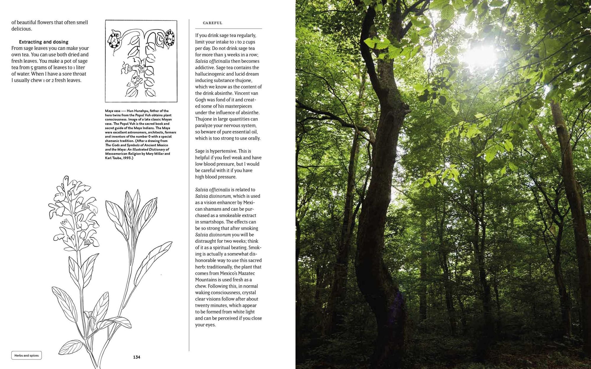 Plant Power: Heal Yourself with Medicinal Mushrooms, Roots, Flowers, and Herbs