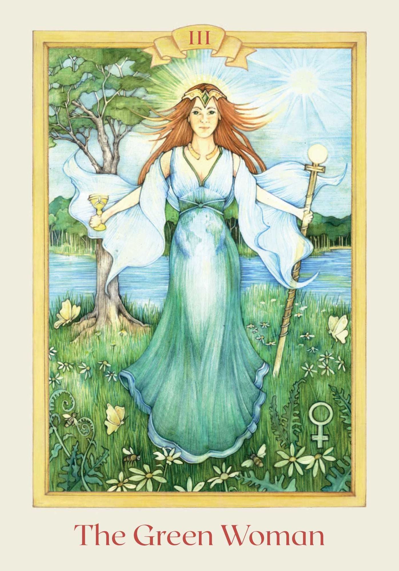 Celtic Elemental Tarot: 78-Card Deck and Book