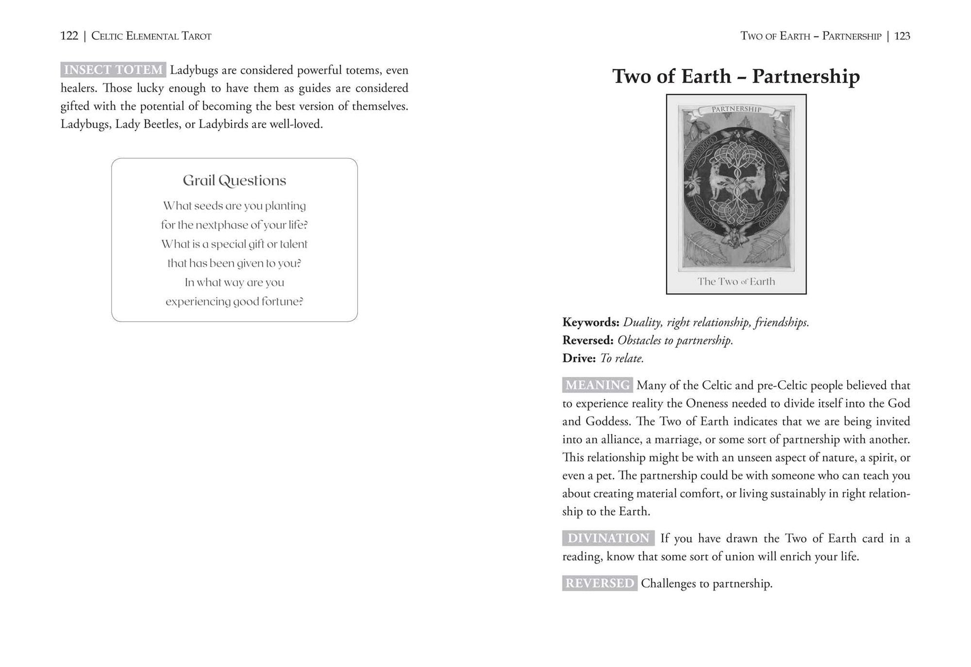 Celtic Elemental Tarot: 78-Card Deck and Book