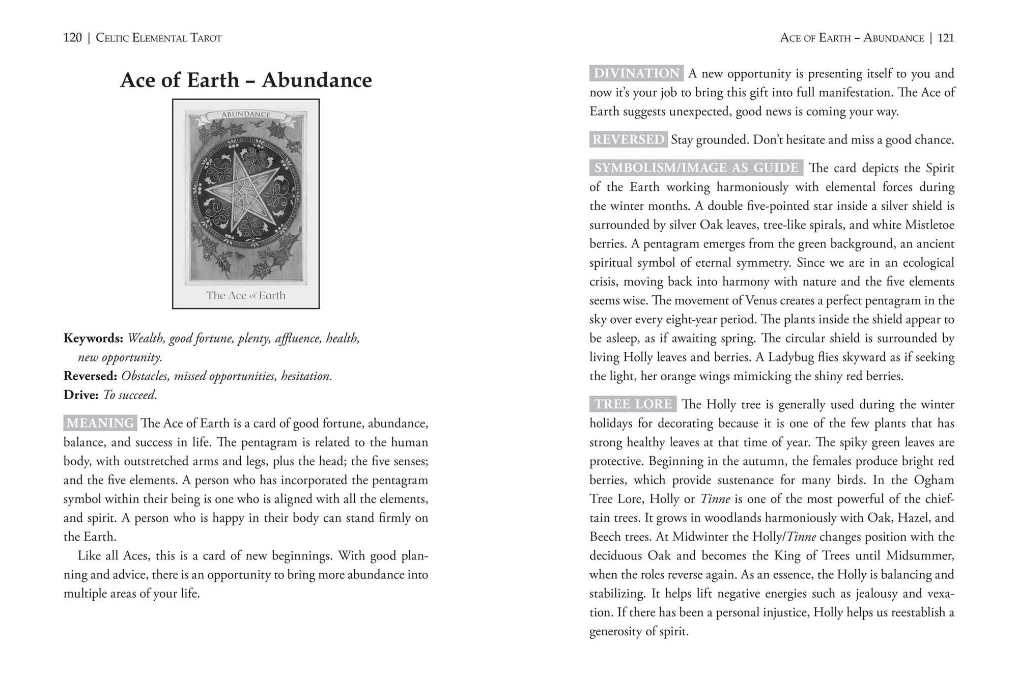 Celtic Elemental Tarot: 78-Card Deck and Book