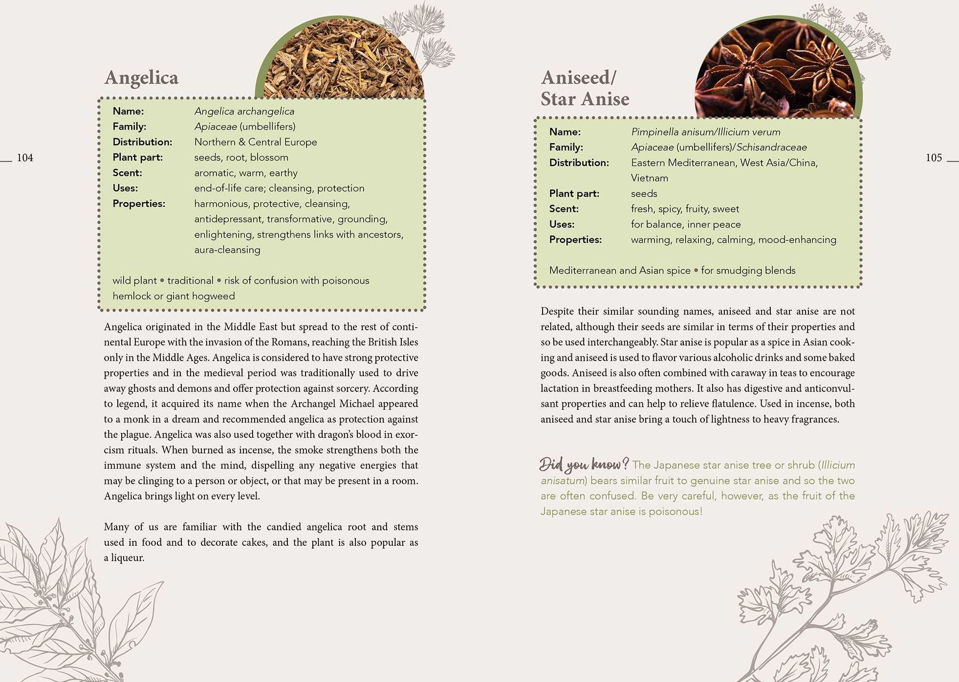 The Complete Smudging Handbook: 67 Herbs, Woods, and Resins for Clearing and Emotional Balance