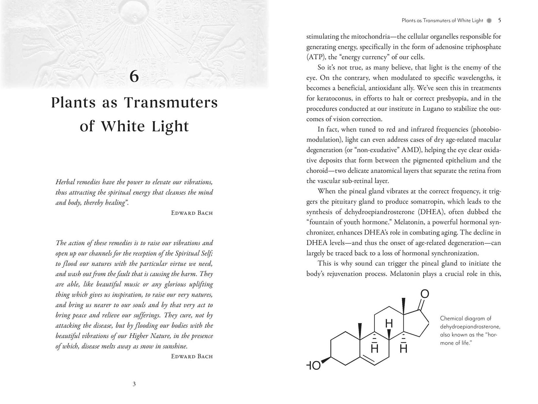 Awakening the Pineal Gland: Cellular Rejuvenation through Light and Sound