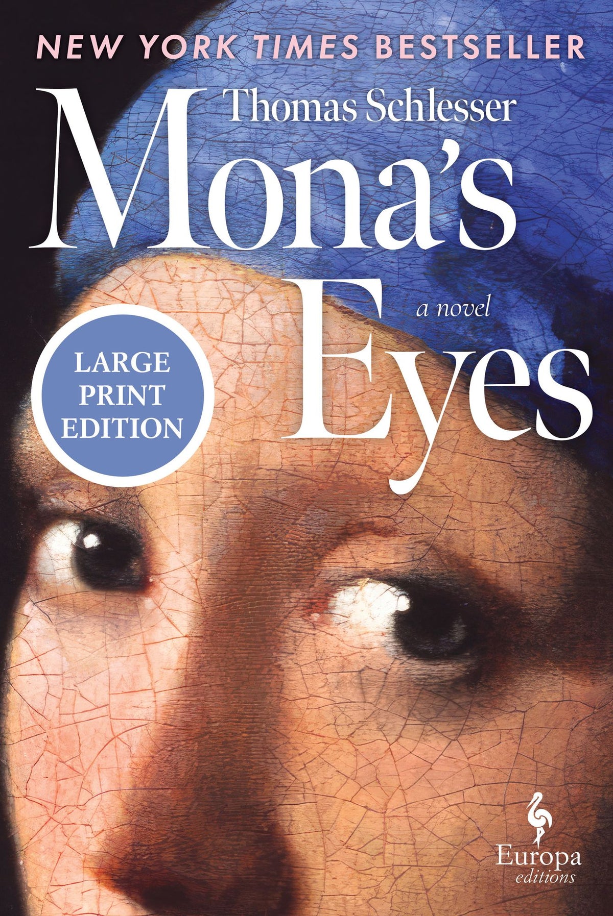Mona's Eyes (2025 B&N Book of the Year)