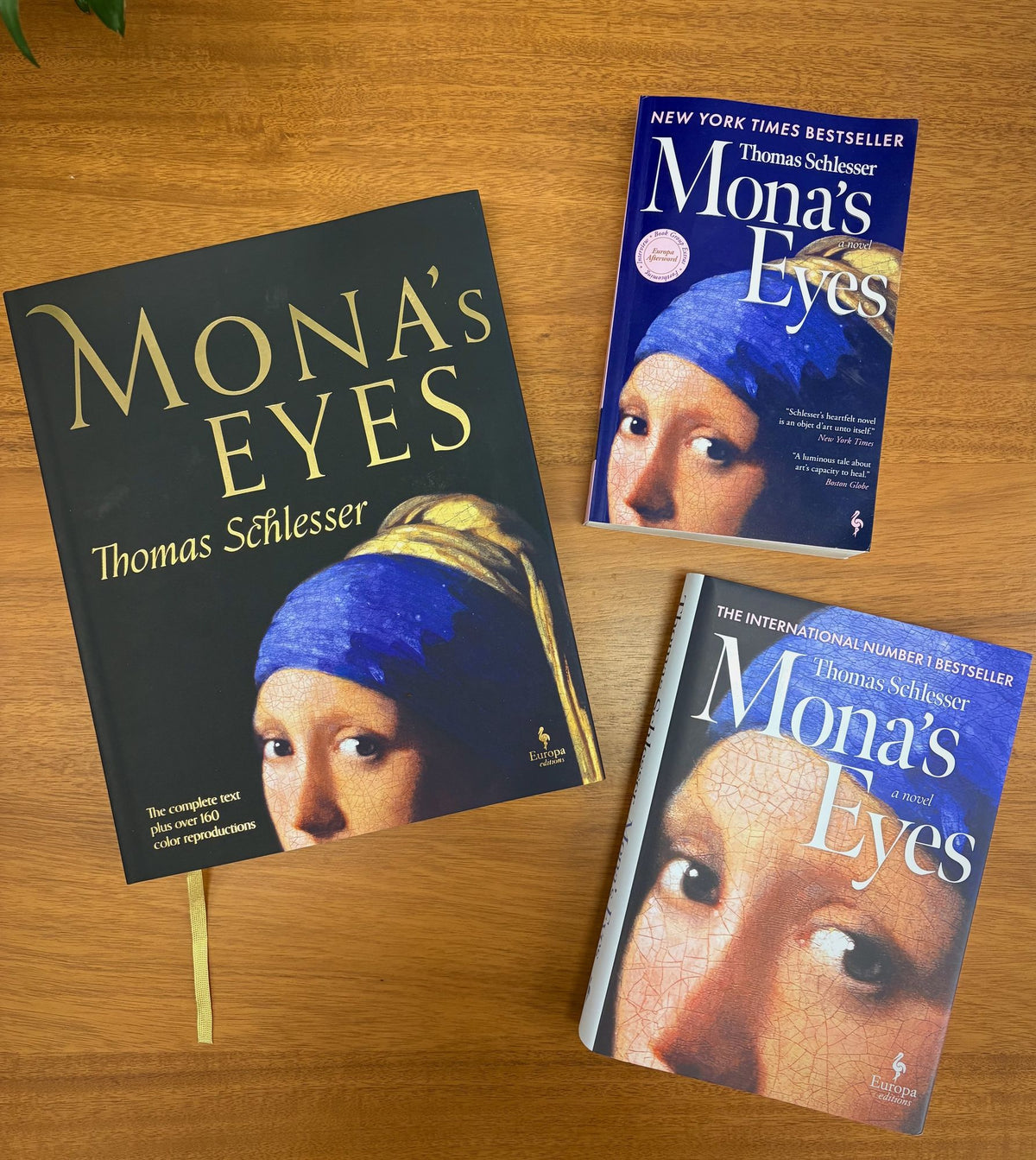 Mona's Eyes: The Illustrated Edition (2025 B&N Book of the Year)