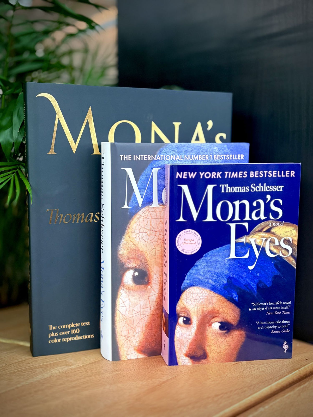 Mona's Eyes: The Illustrated Edition (2025 B&N Book of the Year)