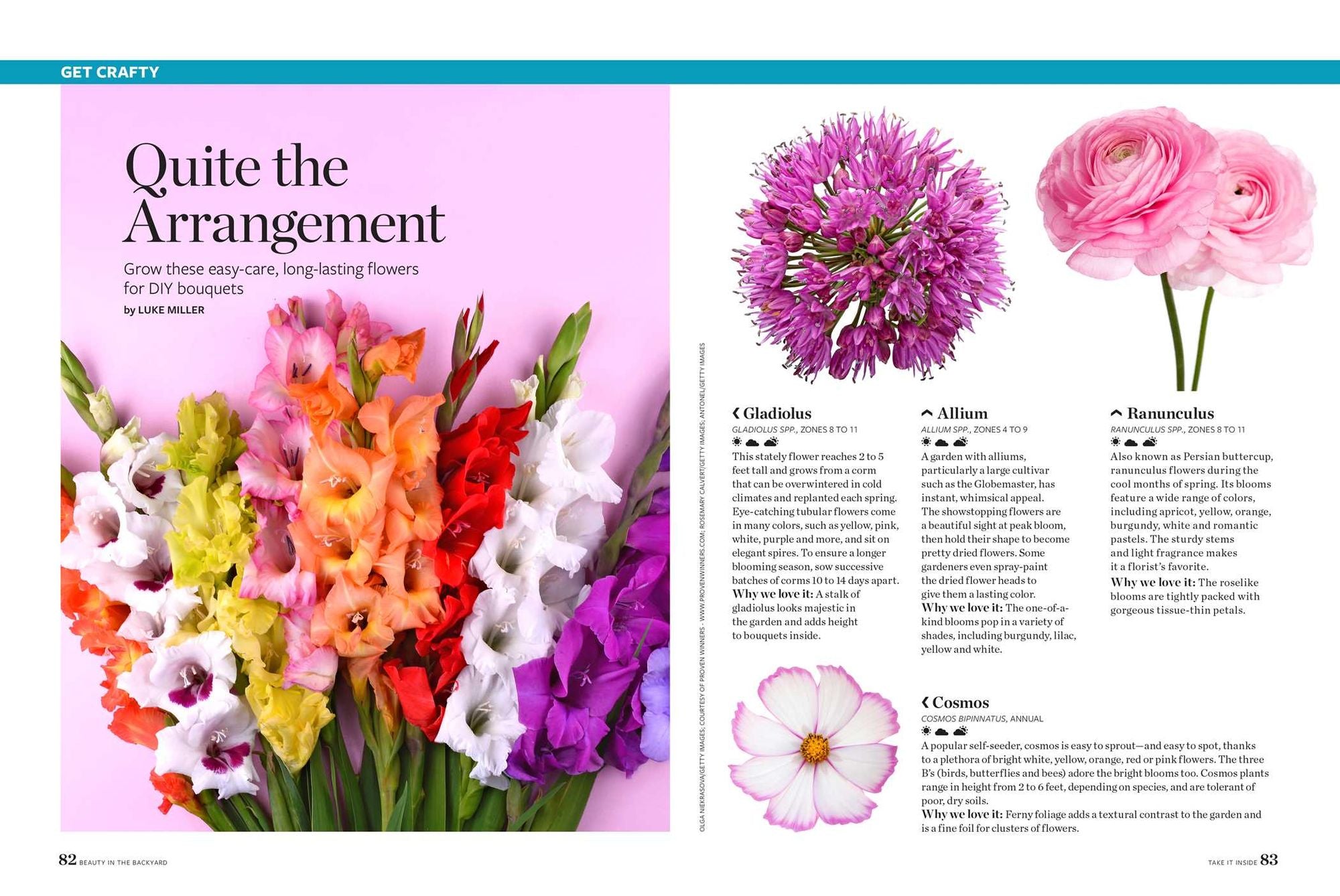 Birds & Blooms Beauty in the Backyard: 300+ TIPS, HINTS AND GARDEN GREATS TO CREATE AN OUTDOOR SPACE YOU CAN APPRECIATE YEAR-ROUND