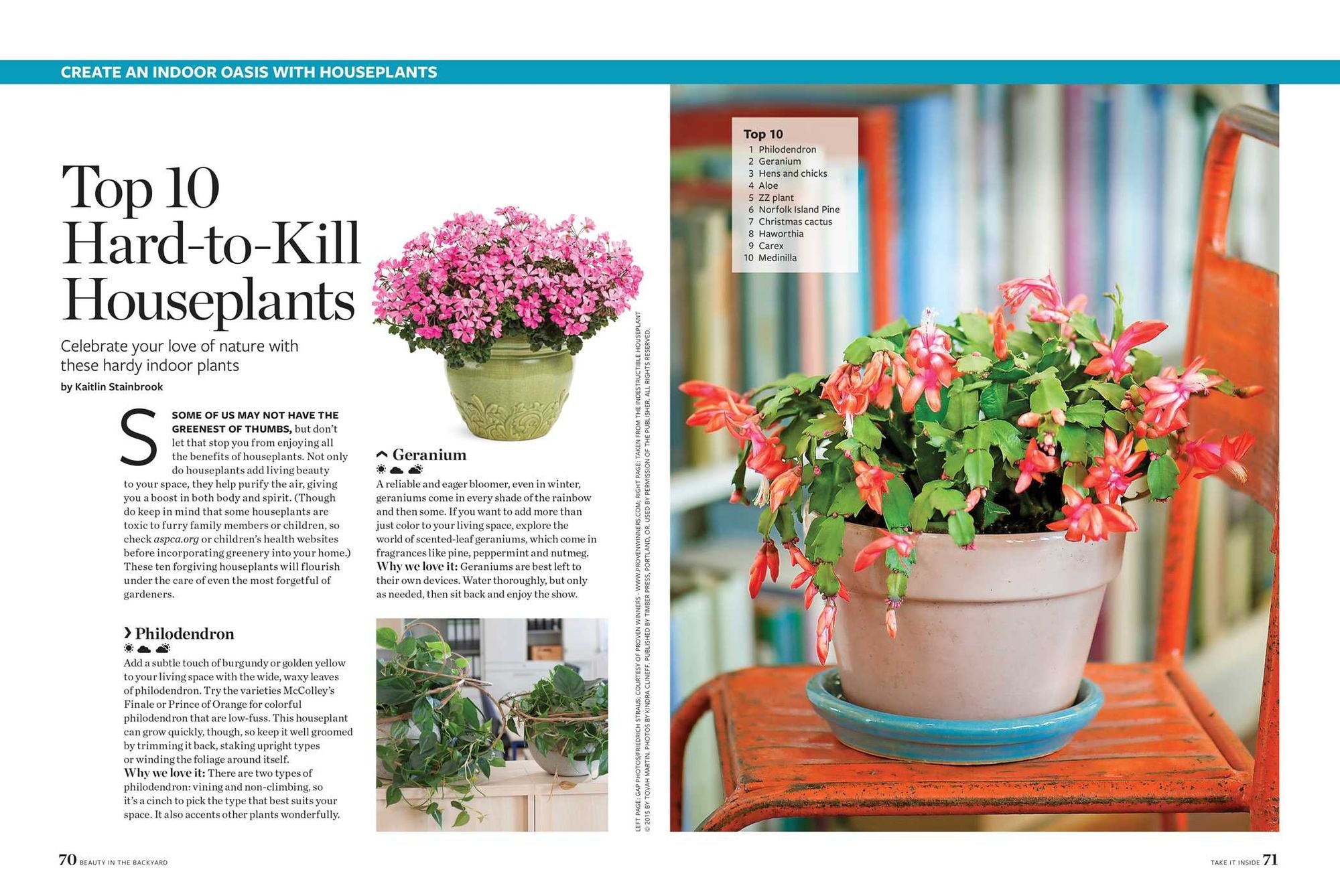 Birds & Blooms Beauty in the Backyard: 300+ TIPS, HINTS AND GARDEN GREATS TO CREATE AN OUTDOOR SPACE YOU CAN APPRECIATE YEAR-ROUND