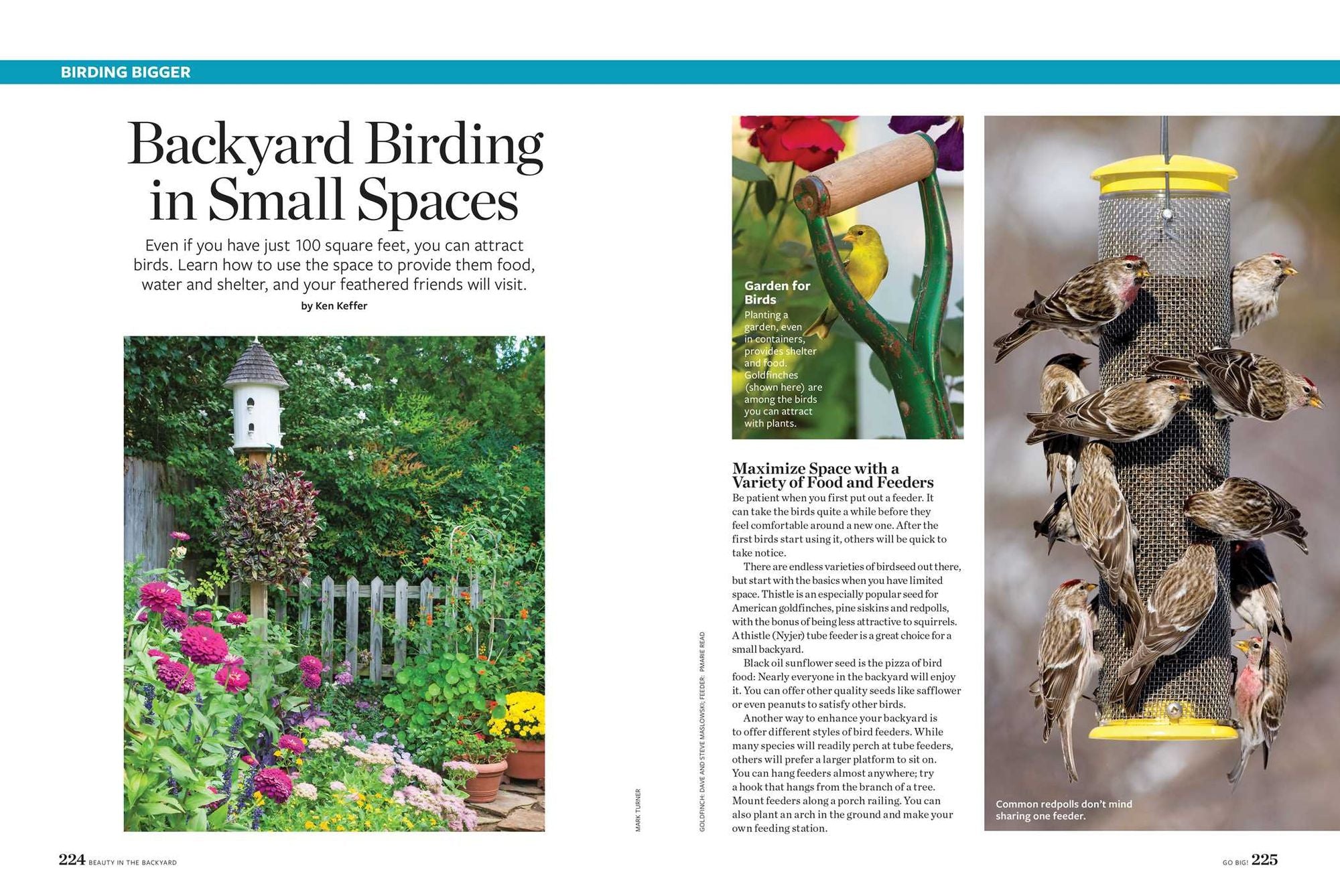 Birds & Blooms Beauty in the Backyard: 300+ TIPS, HINTS AND GARDEN GREATS TO CREATE AN OUTDOOR SPACE YOU CAN APPRECIATE YEAR-ROUND