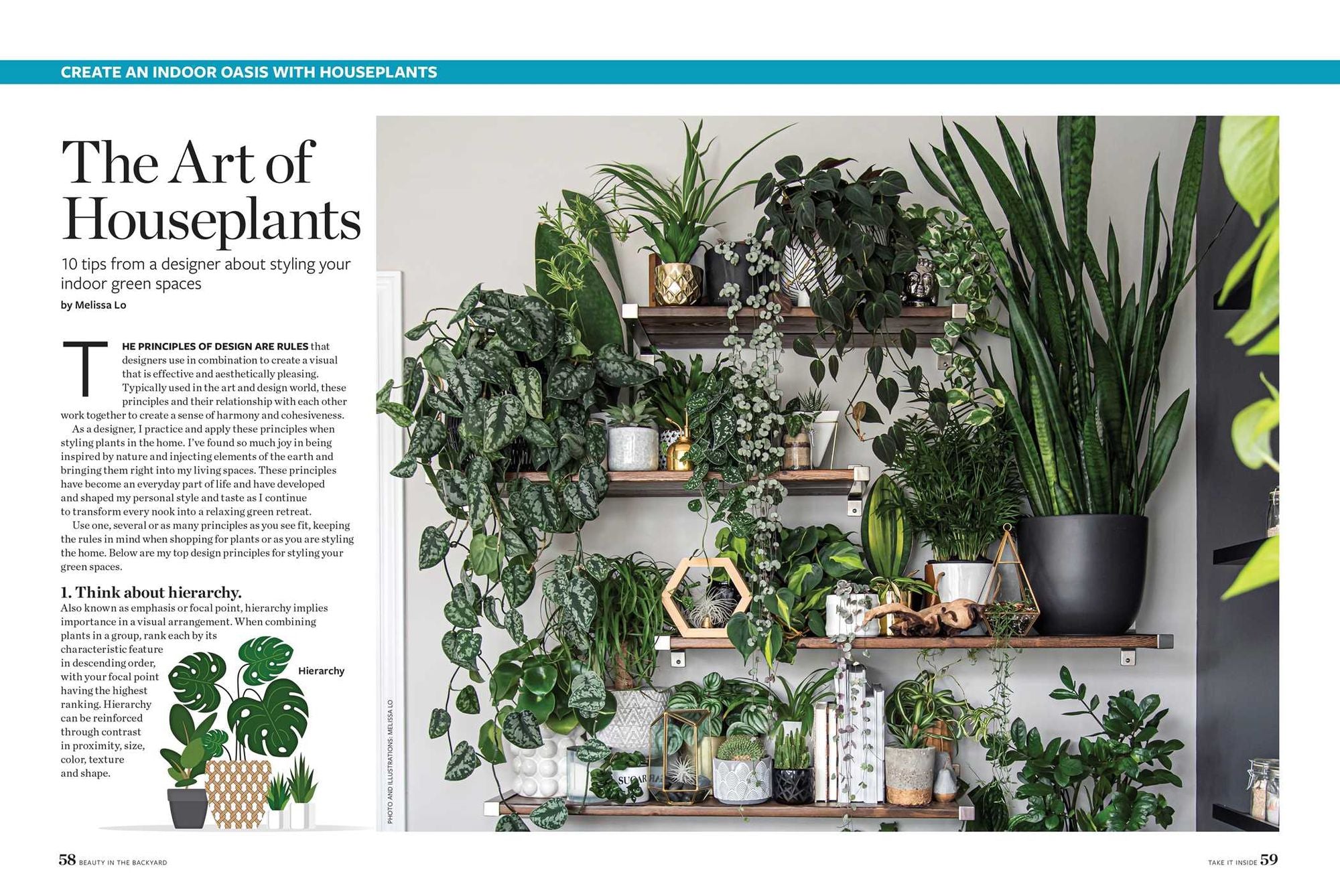 Birds & Blooms Beauty in the Backyard: 300+ TIPS, HINTS AND GARDEN GREATS TO CREATE AN OUTDOOR SPACE YOU CAN APPRECIATE YEAR-ROUND