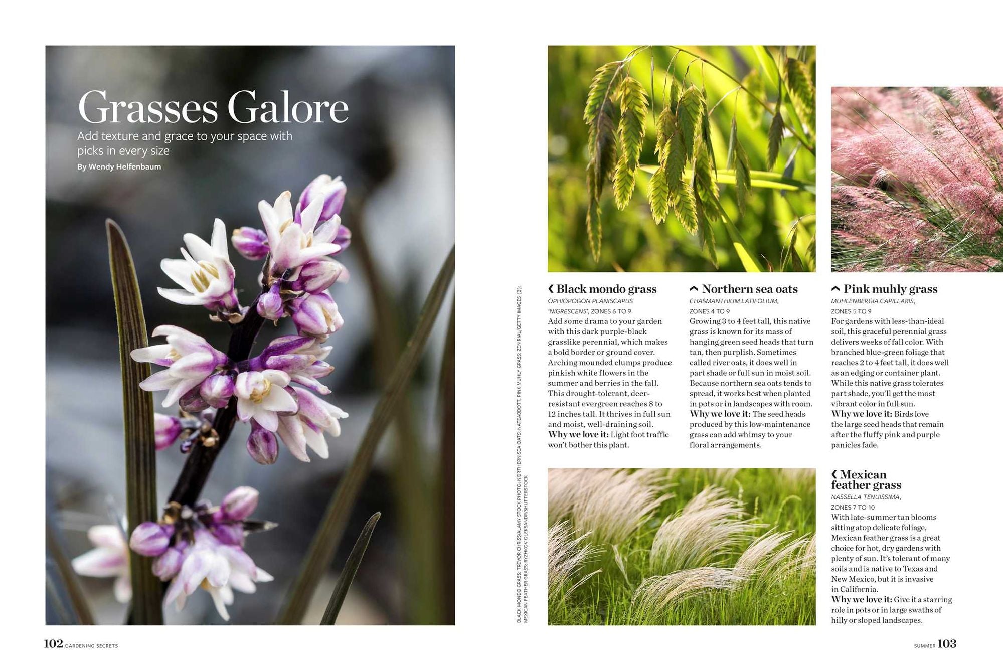Birds & Blooms Gardening Secrets: All-Season Guide with Expert Tips and DIY Ideas for Thriving Gardens