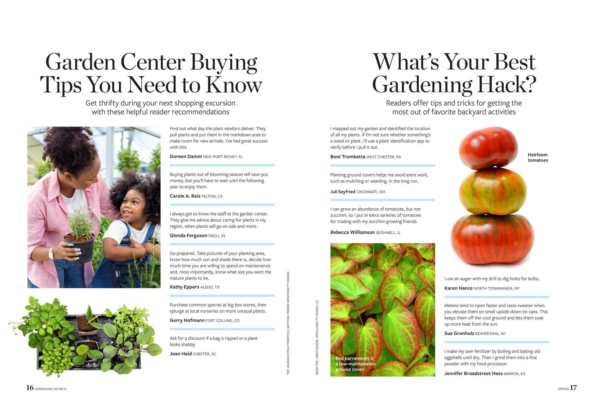 Birds & Blooms Gardening Secrets: All-Season Guide with Expert Tips and DIY Ideas for Thriving Gardens