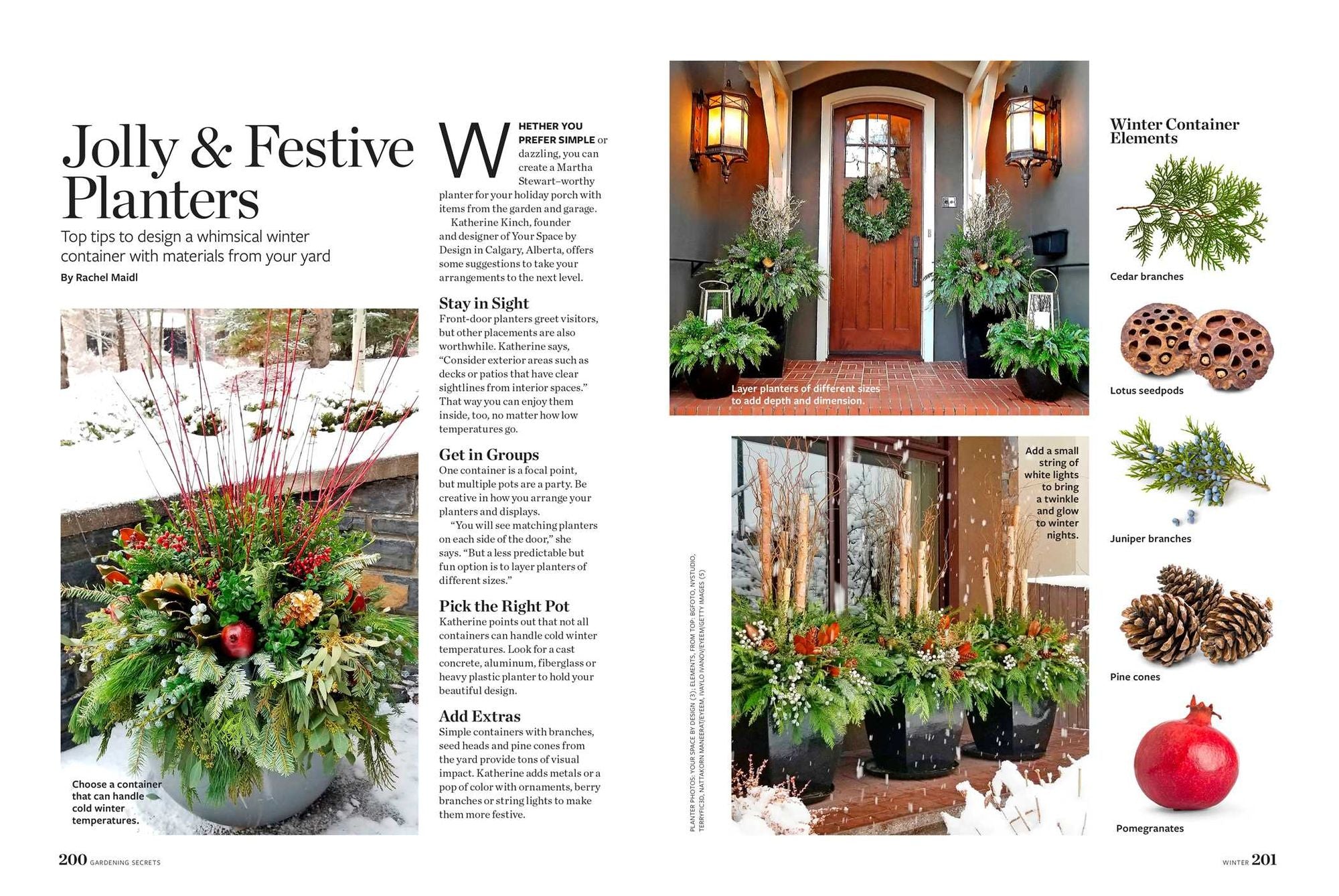 Birds & Blooms Gardening Secrets: All-Season Guide with Expert Tips and DIY Ideas for Thriving Gardens