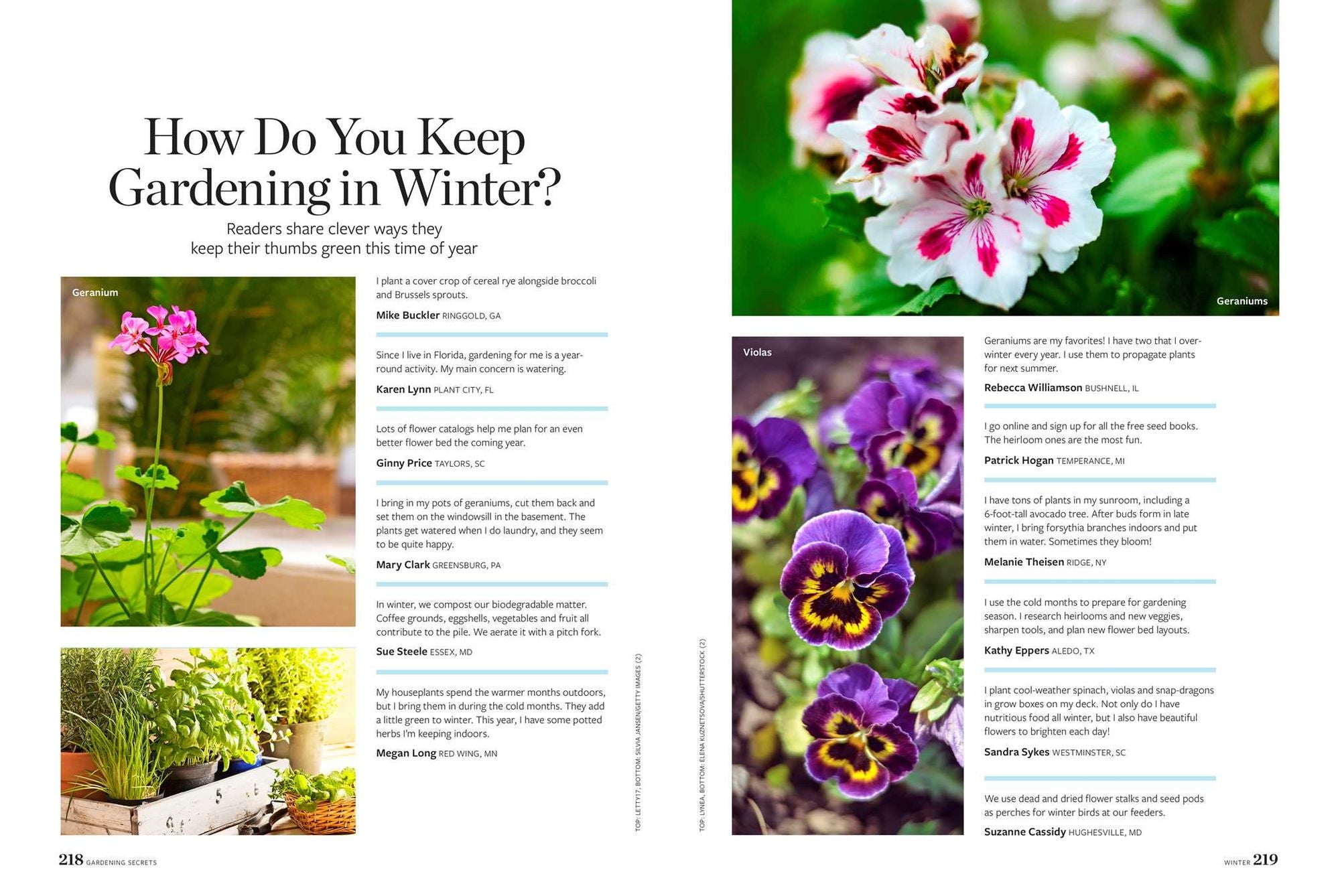 Birds & Blooms Gardening Secrets: All-Season Guide with Expert Tips and DIY Ideas for Thriving Gardens