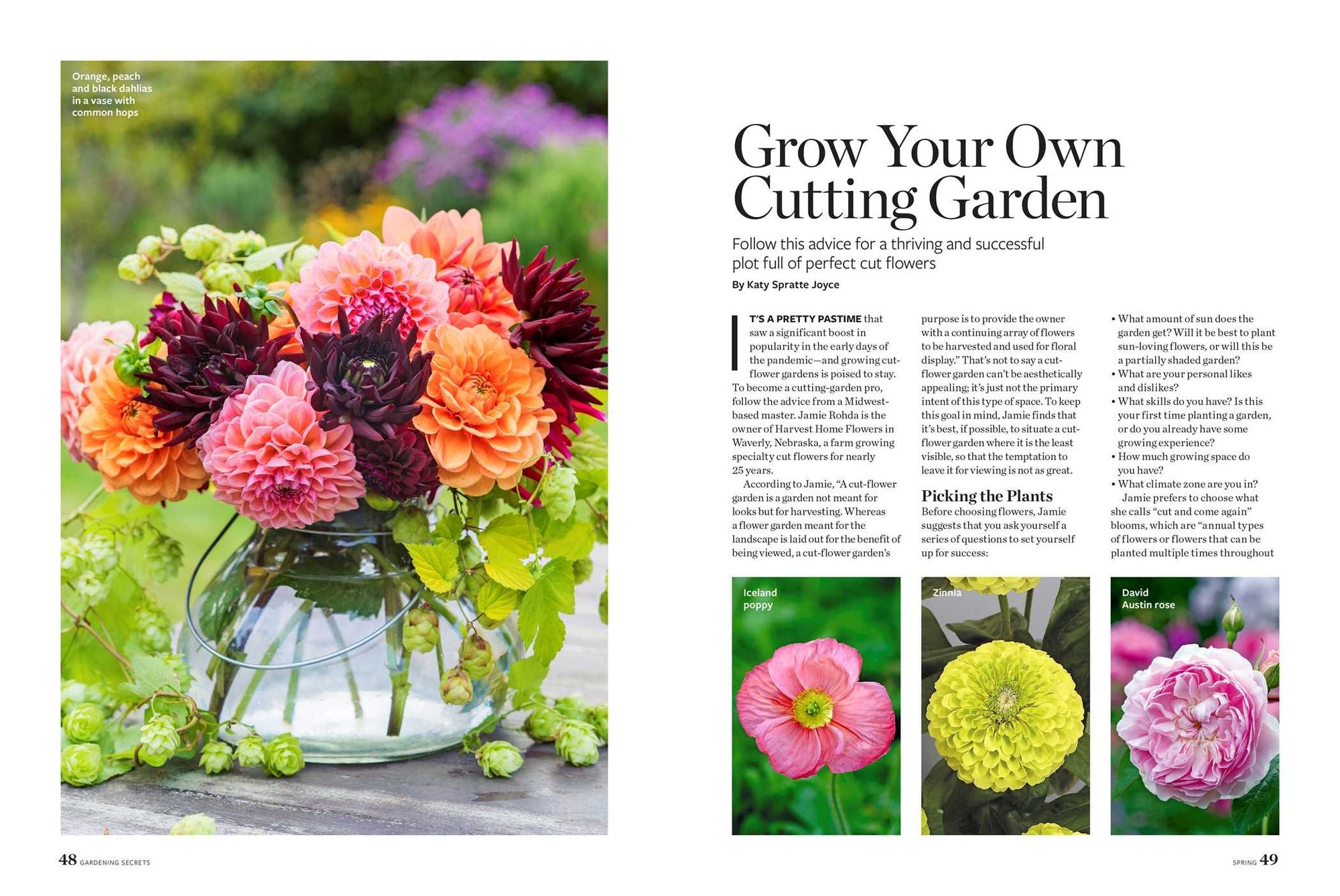 Birds & Blooms Gardening Secrets: All-Season Guide with Expert Tips and DIY Ideas for Thriving Gardens