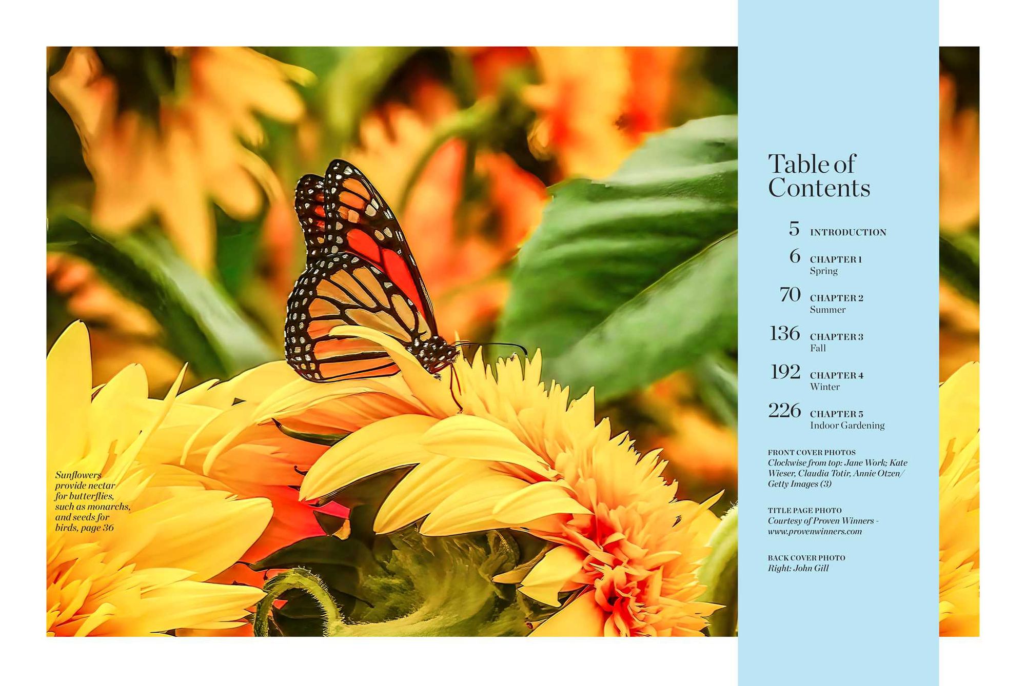 Birds & Blooms Gardening Secrets: All-Season Guide with Expert Tips and DIY Ideas for Thriving Gardens