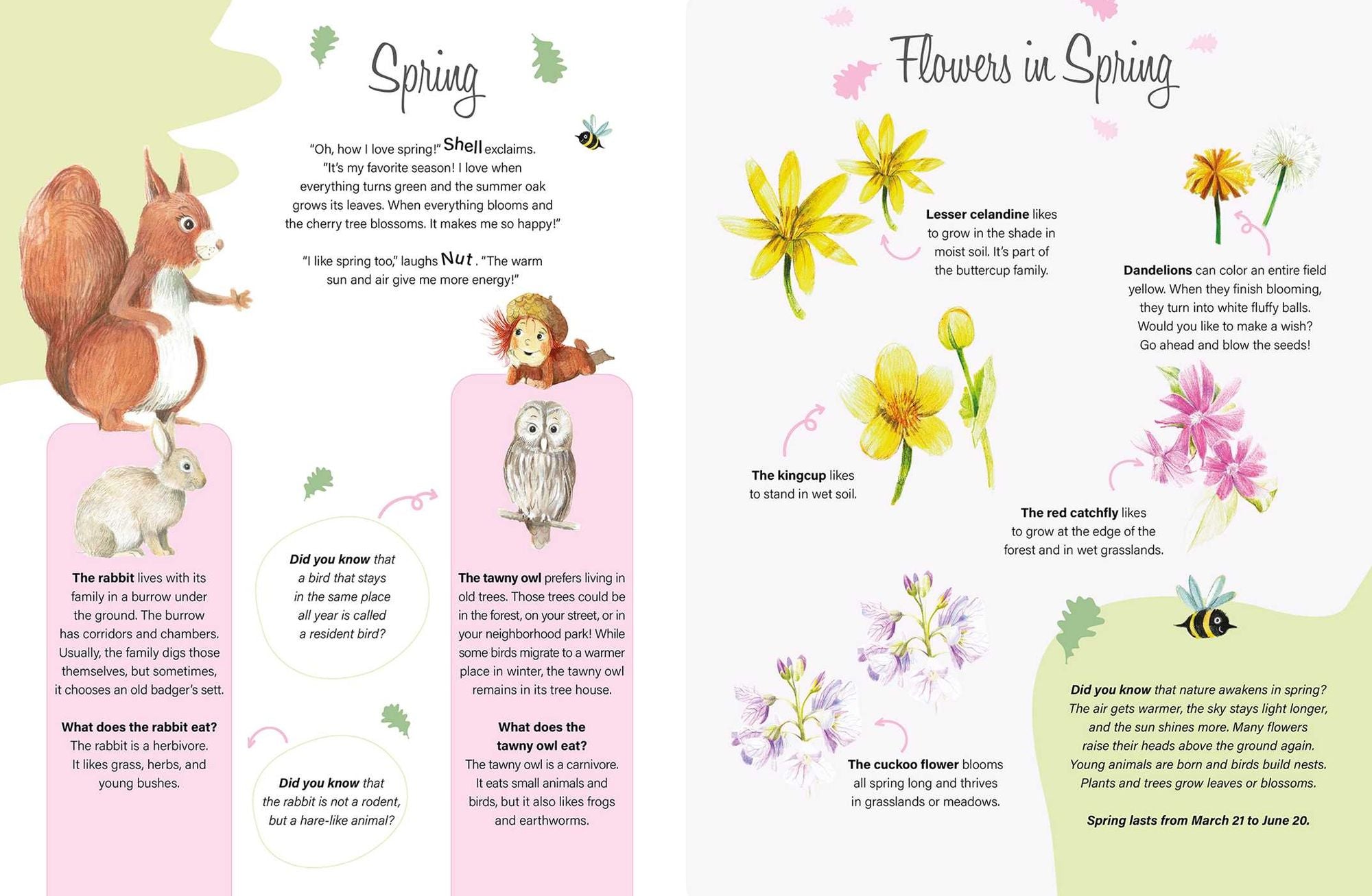 Through the Seasons with Nut and Shell