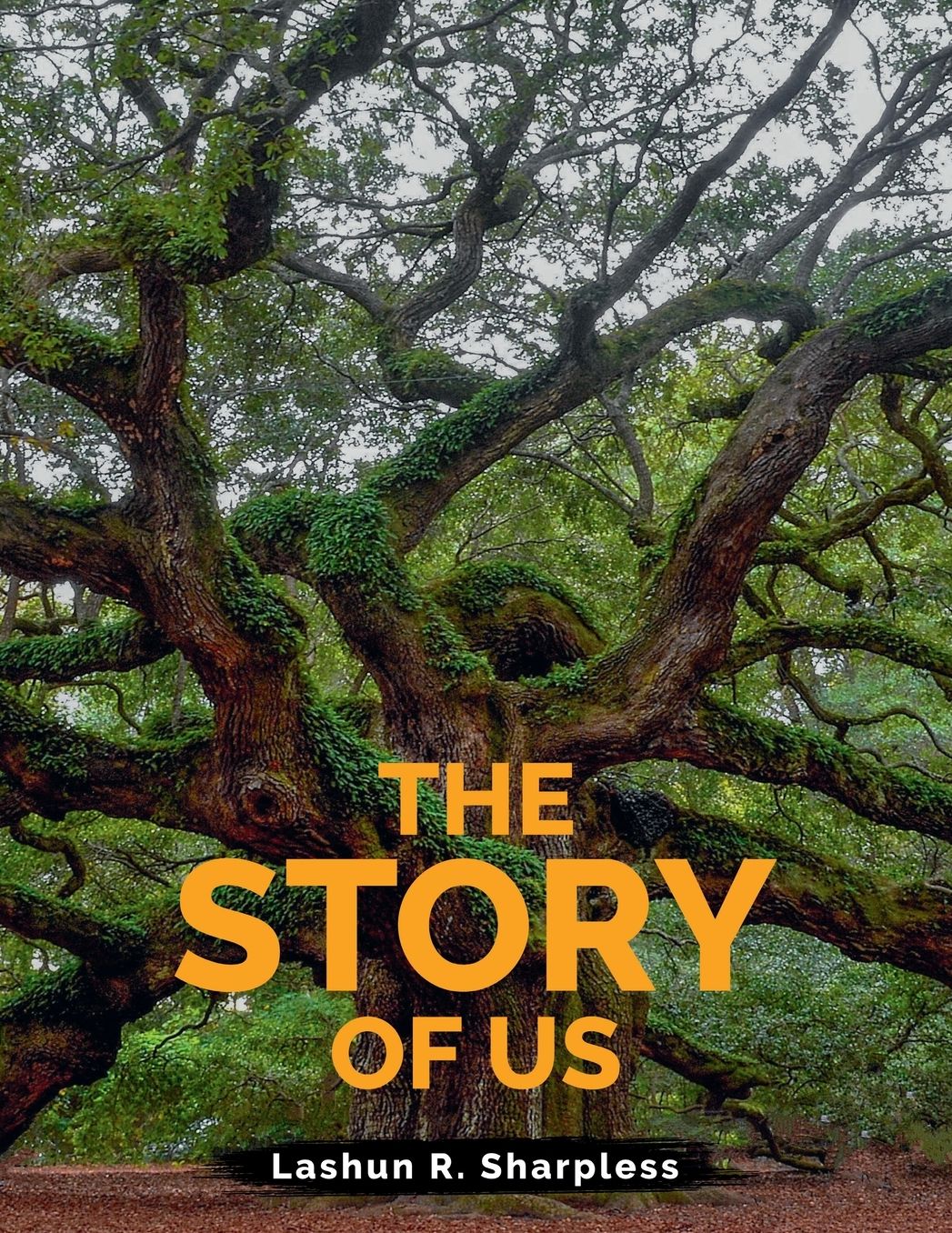 The Story of Us
