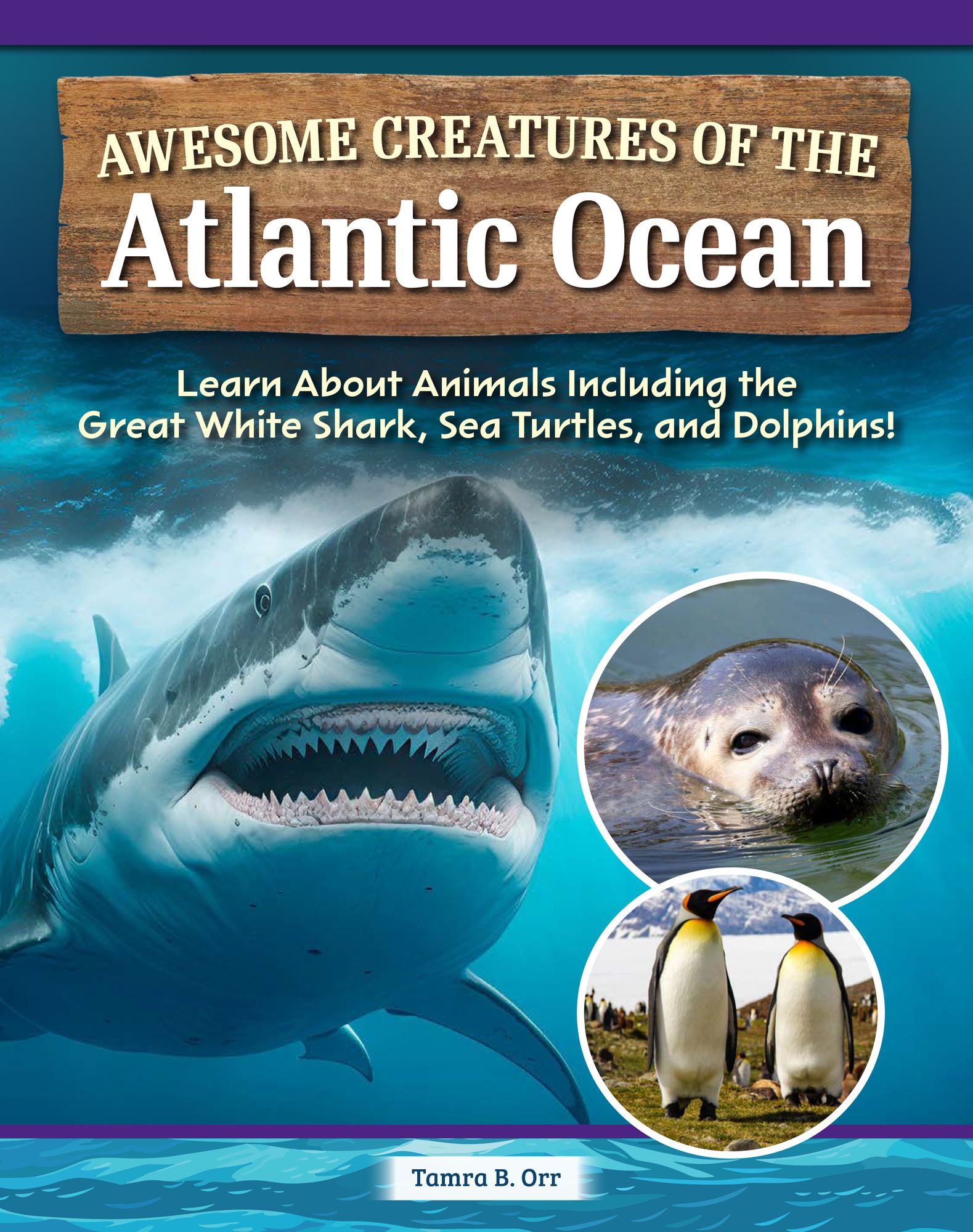 Awesome Creatures of the Atlantic Ocean: Learn About Animals Including the Great White Shark, Sea Turtles, and Dolphins!