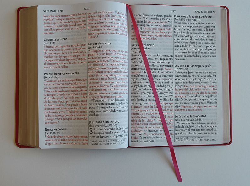Biblia Reina Valera Revisada 1960 letra súper gigante, símil piel fucsia rosada / Spanish Bible RVR 1960 Super Giant Print, Fuchsia Pink Leathersoft