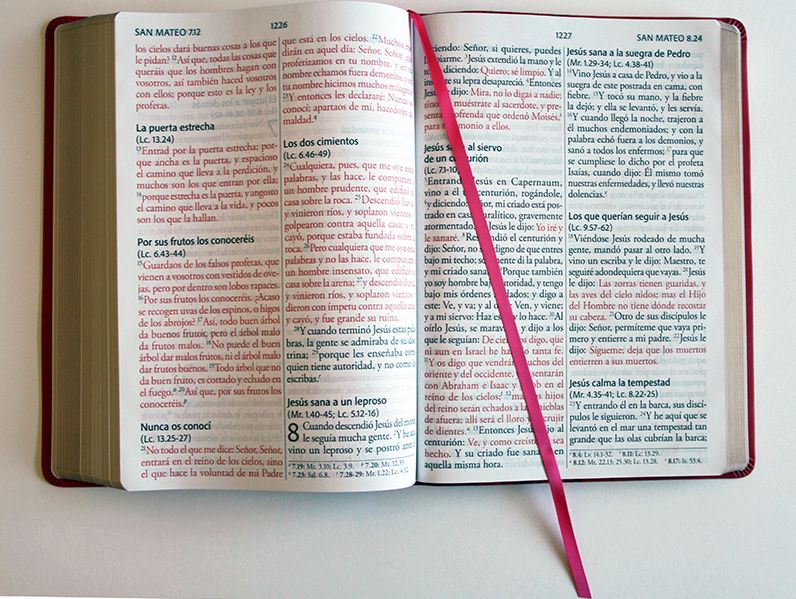 Biblia Reina Valera Revisada 1960 letra súper gigante, símil piel fucsia rosada / Spanish Bible RVR 1960 Super Giant Print, Fuchsia Pink Leathersoft