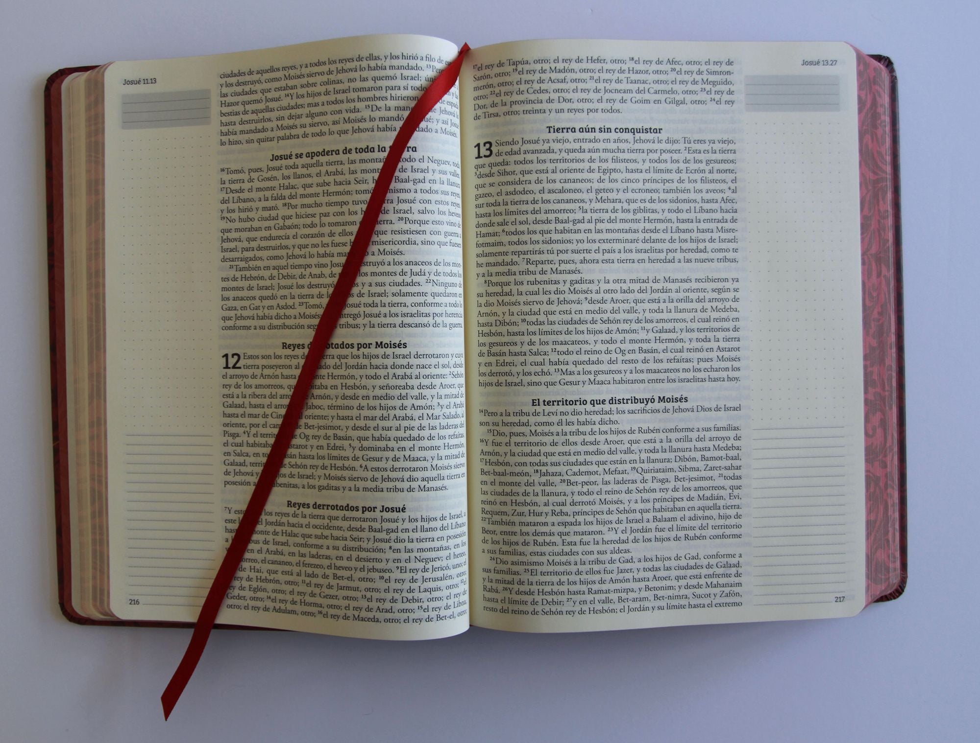 Biblia de Apuntes RVR 1960 Tapa dura, Vino tinto (Edición cantos pintados) / Spanish Journalling Bible RVR 1960 Hardcover Burgundy