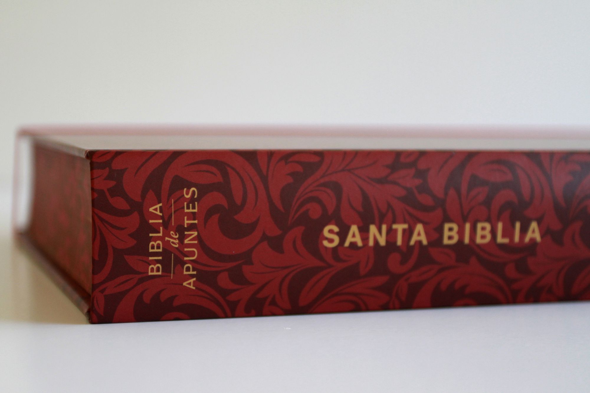 Biblia de Apuntes RVR 1960 Tapa dura, Vino tinto (Edición cantos pintados) / Spanish Journalling Bible RVR 1960 Hardcover Burgundy