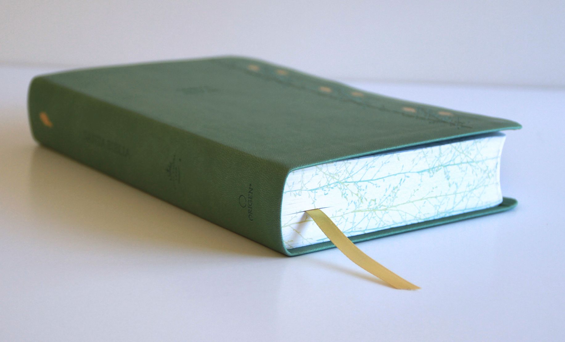 Biblia RVR 1960 Letra gigante símil piel verde con pájaros (Edición cantos pintados) / Spanish Bible RVR 1960 Giant Print Handy Size Leathersoft Green