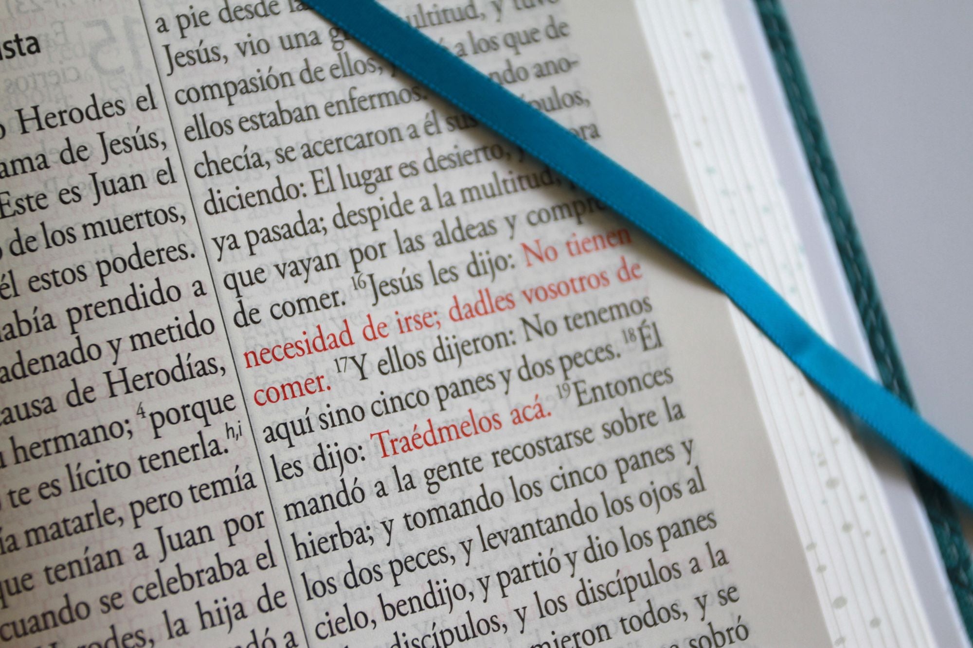 Biblia RVR 1960 Letra gigante, símil azul con Pájaros(Edición cantos pintados) / Spanish Bible RVR 1960 Giant Print Handy Size Leathersoft Light Blue