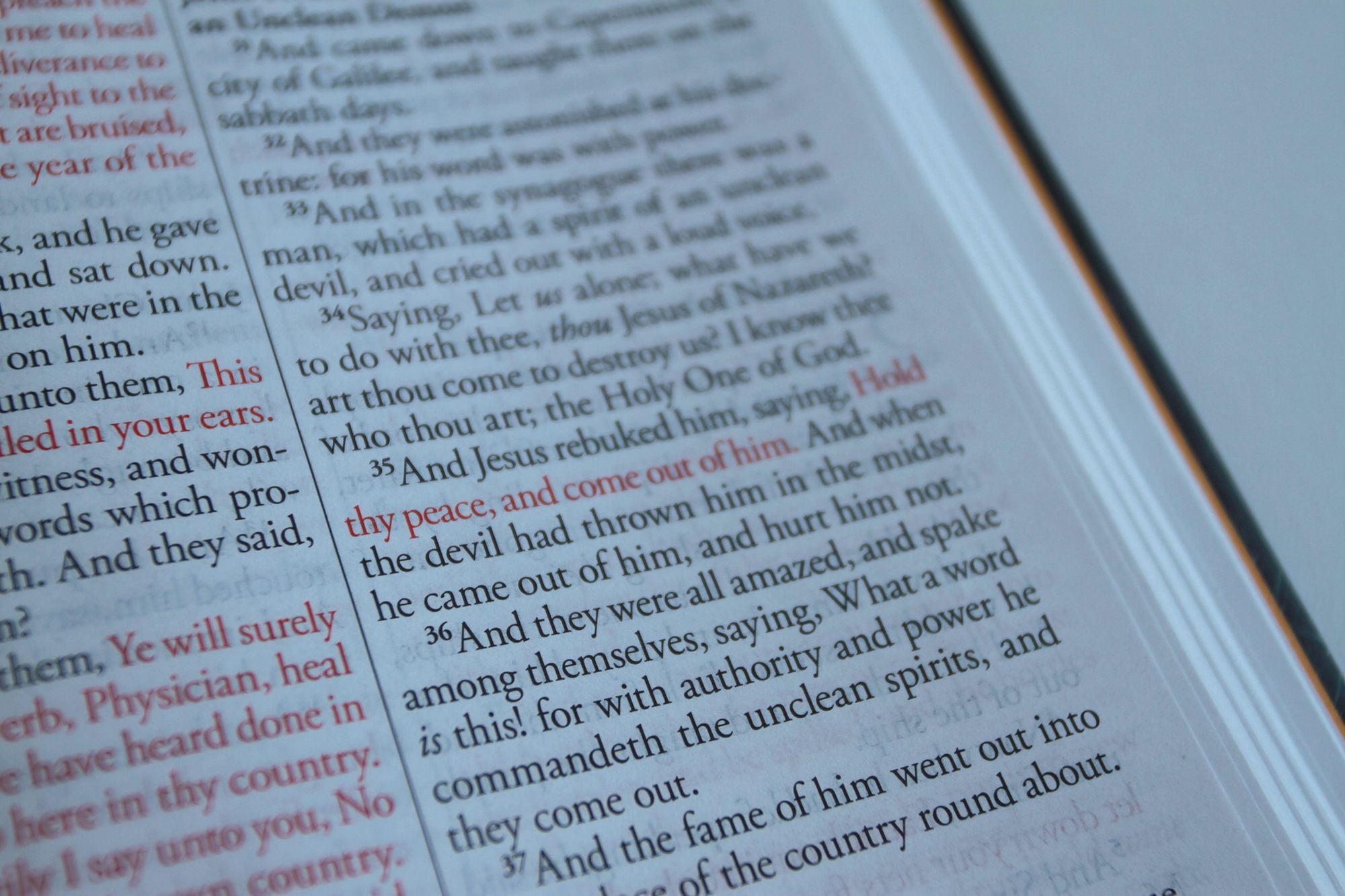 KJV Holy Bible, Large Print, Handy Size format, Hardcover, Lion of Judah, Ribbon Marker, and Red Letter