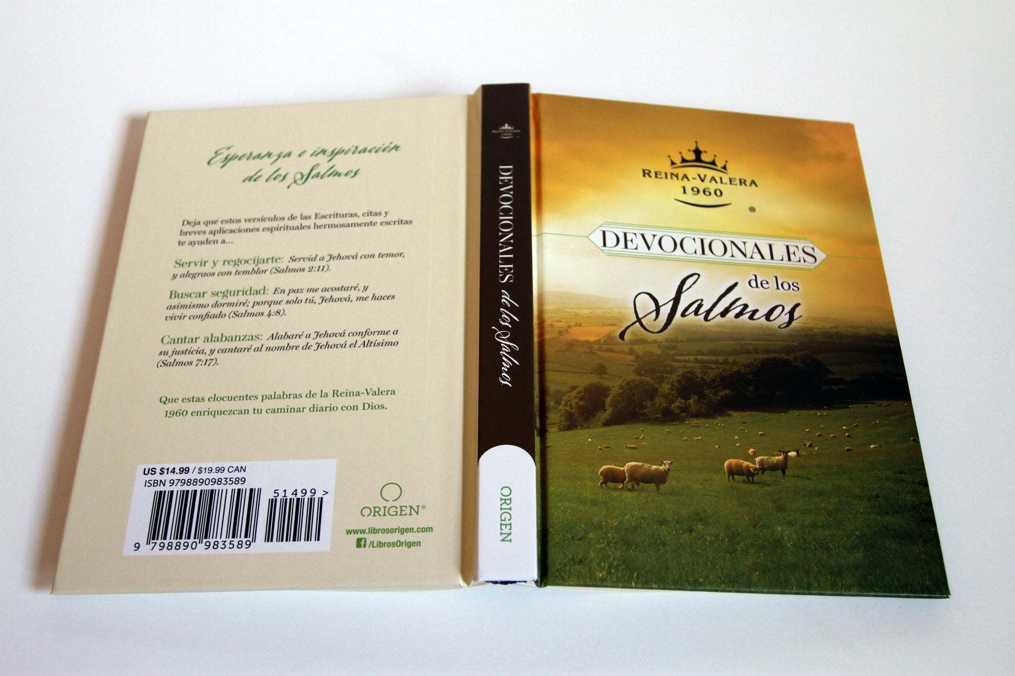 RVR 1960 Devocionales de los Salmos / RVR 1960 Psalms Devotionals