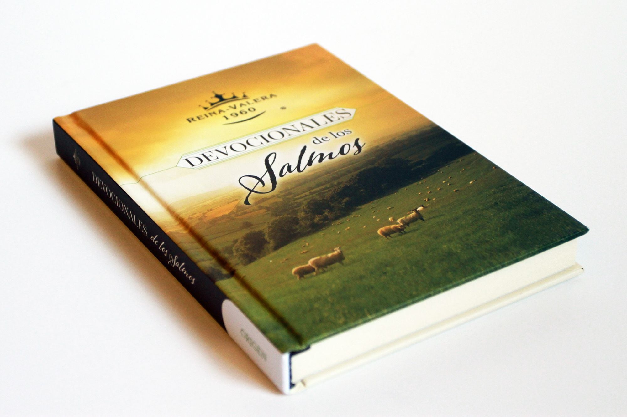 RVR 1960 Devocionales de los Salmos / RVR 1960 Psalms Devotionals